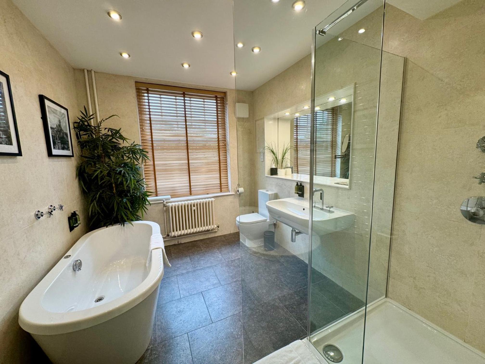 Deluxe Suite photo 2