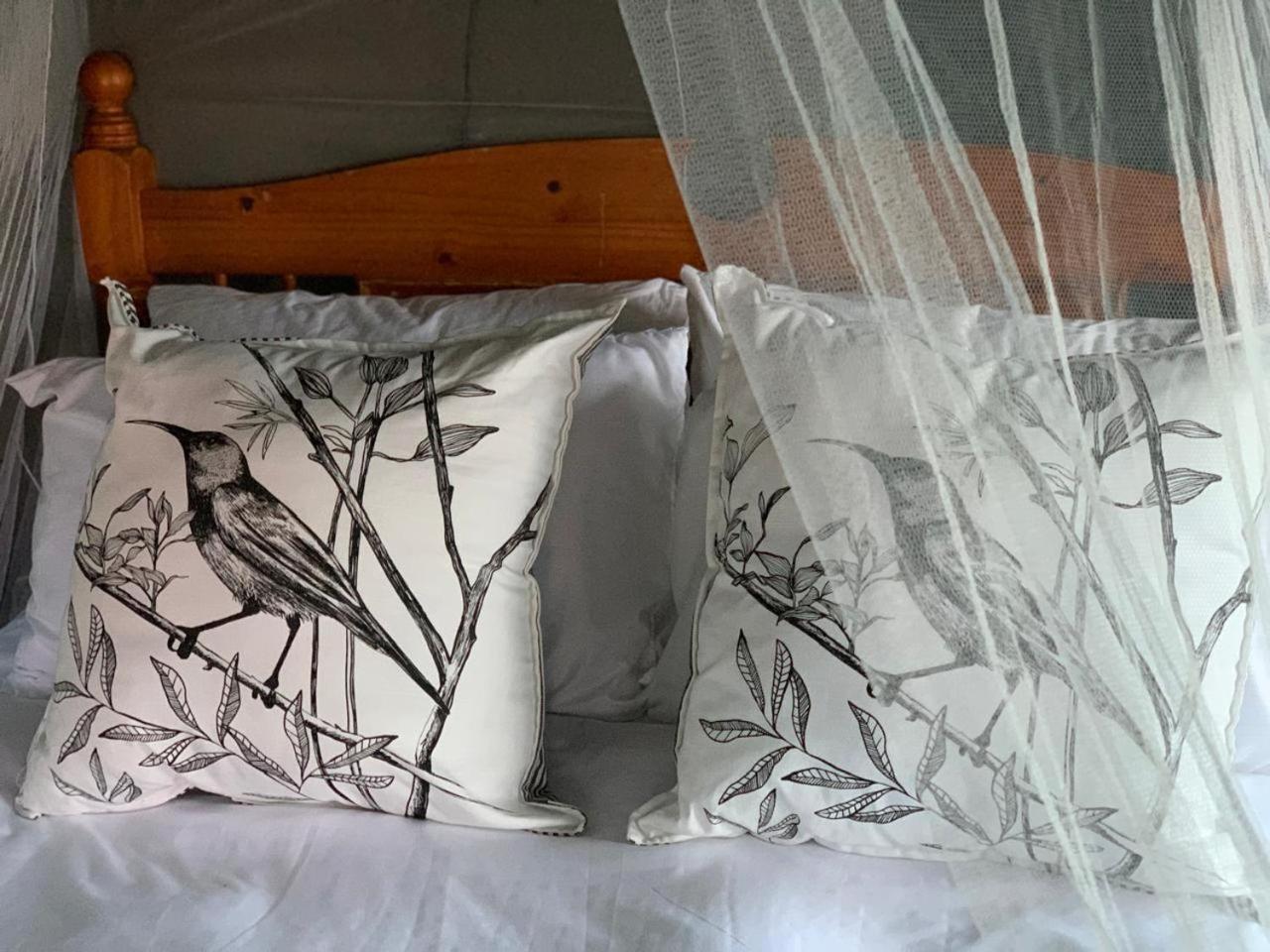 Tent photo 2