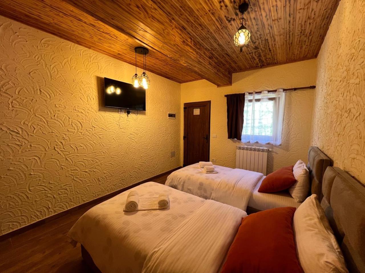 Twin Room photo 3