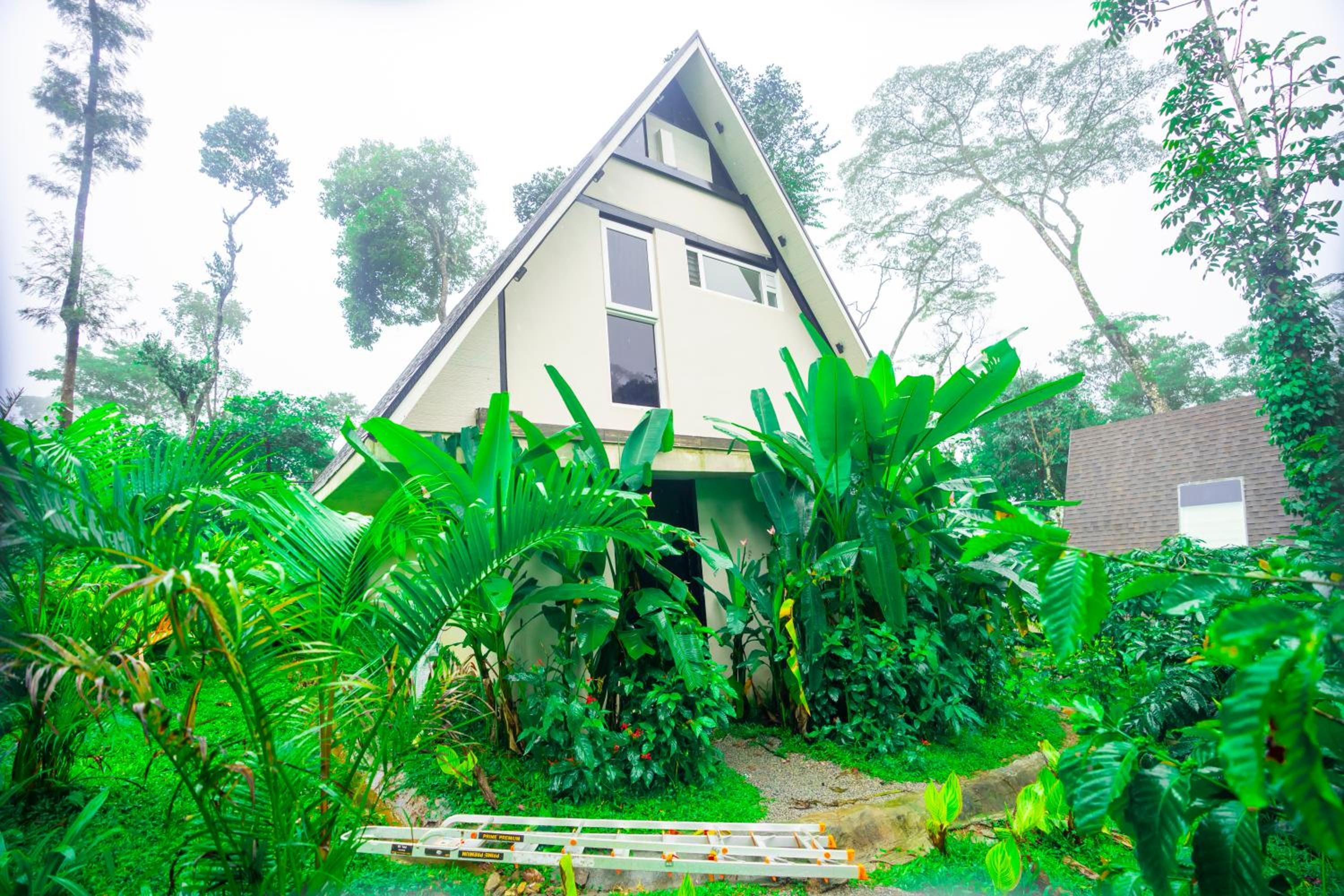 Chalet