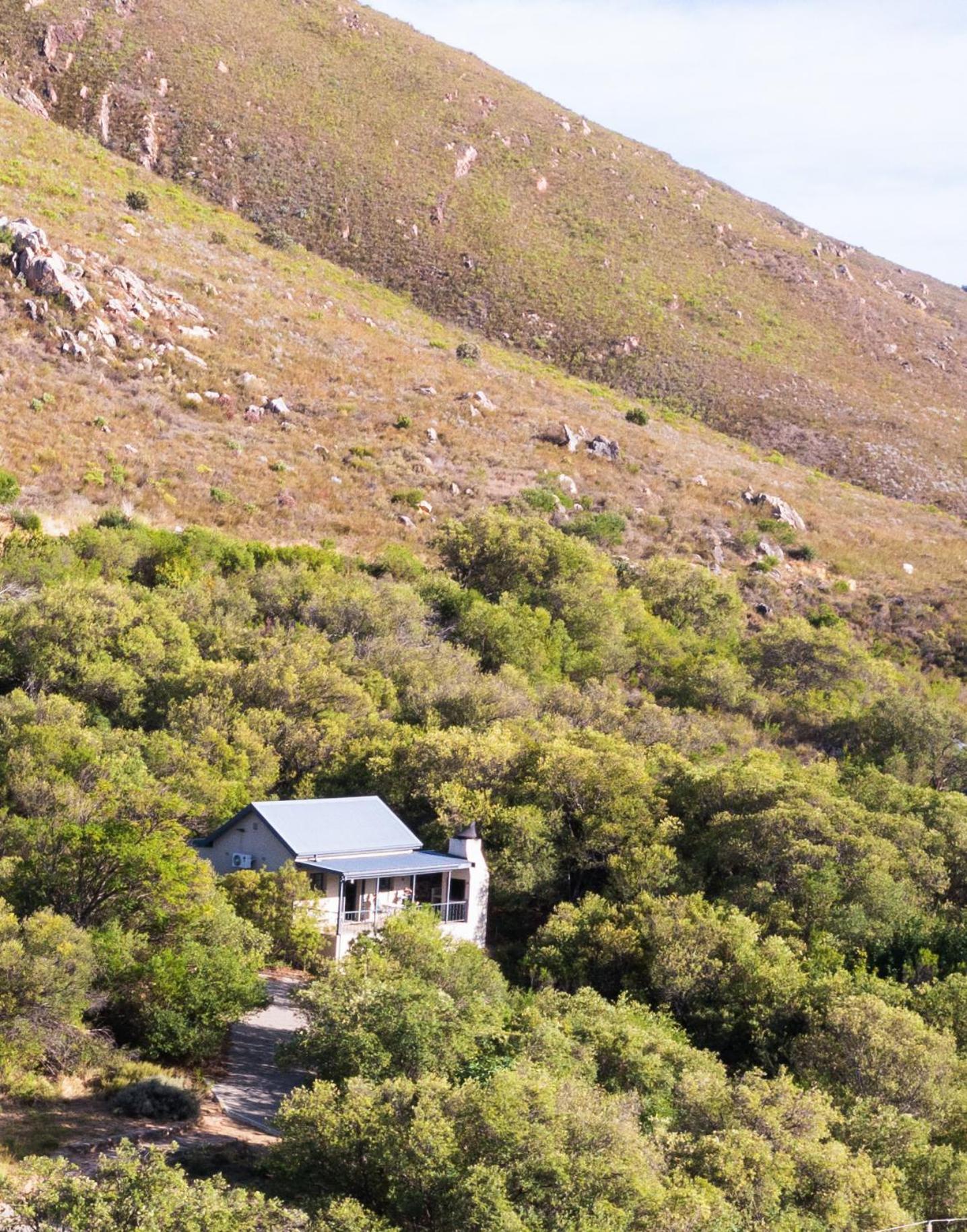 Chalet photo 3