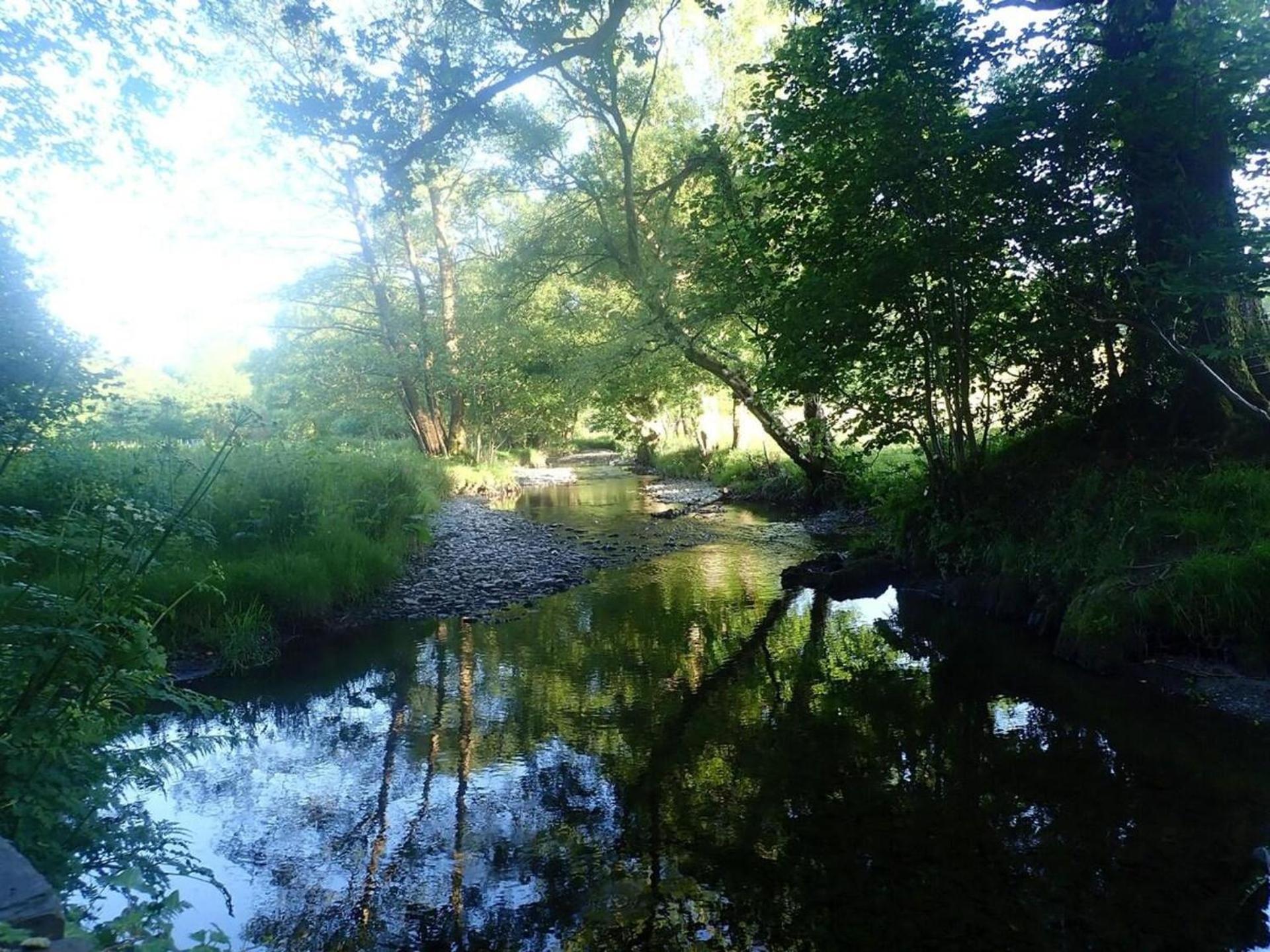 Holiday Home photo 3