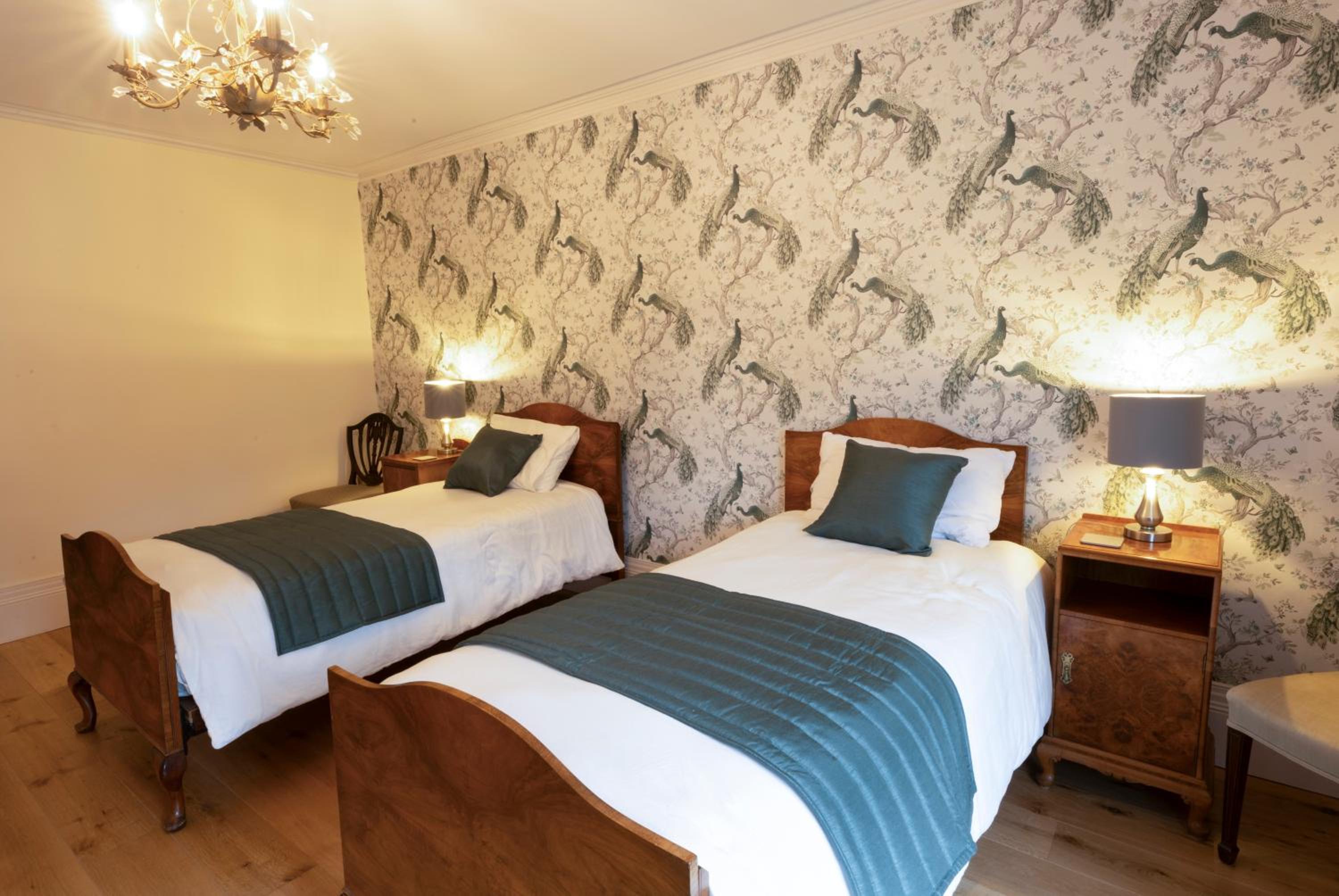 Twin Room photo 1
