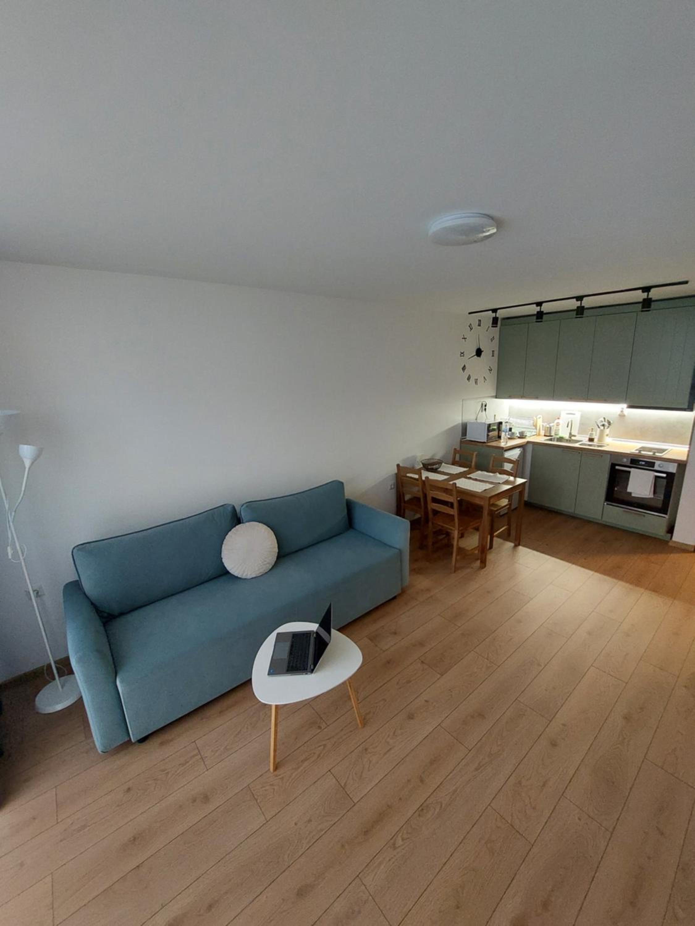 One-Bedroom Apartment photo 2