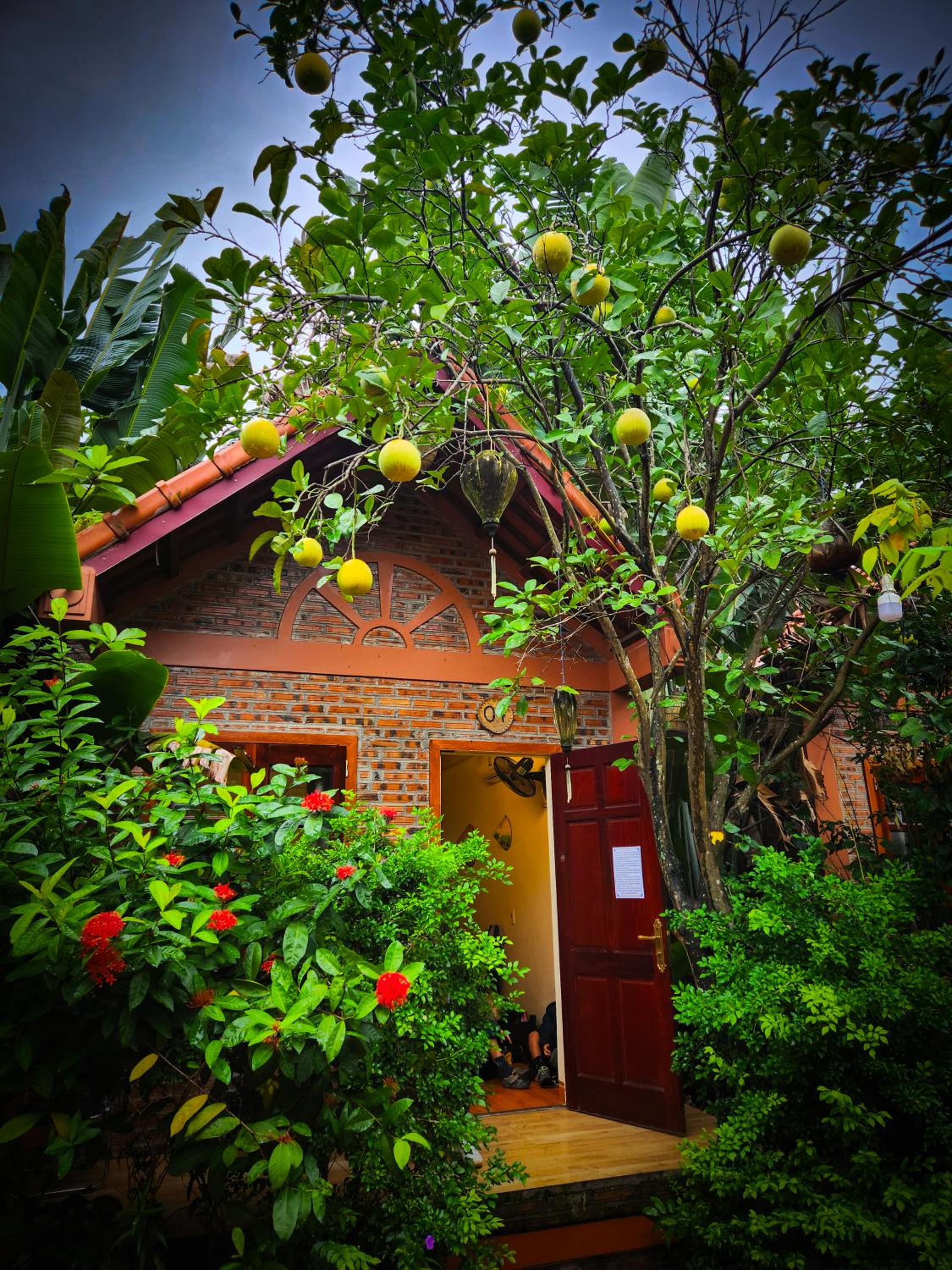 Bungalow with Garden View - Photo 7