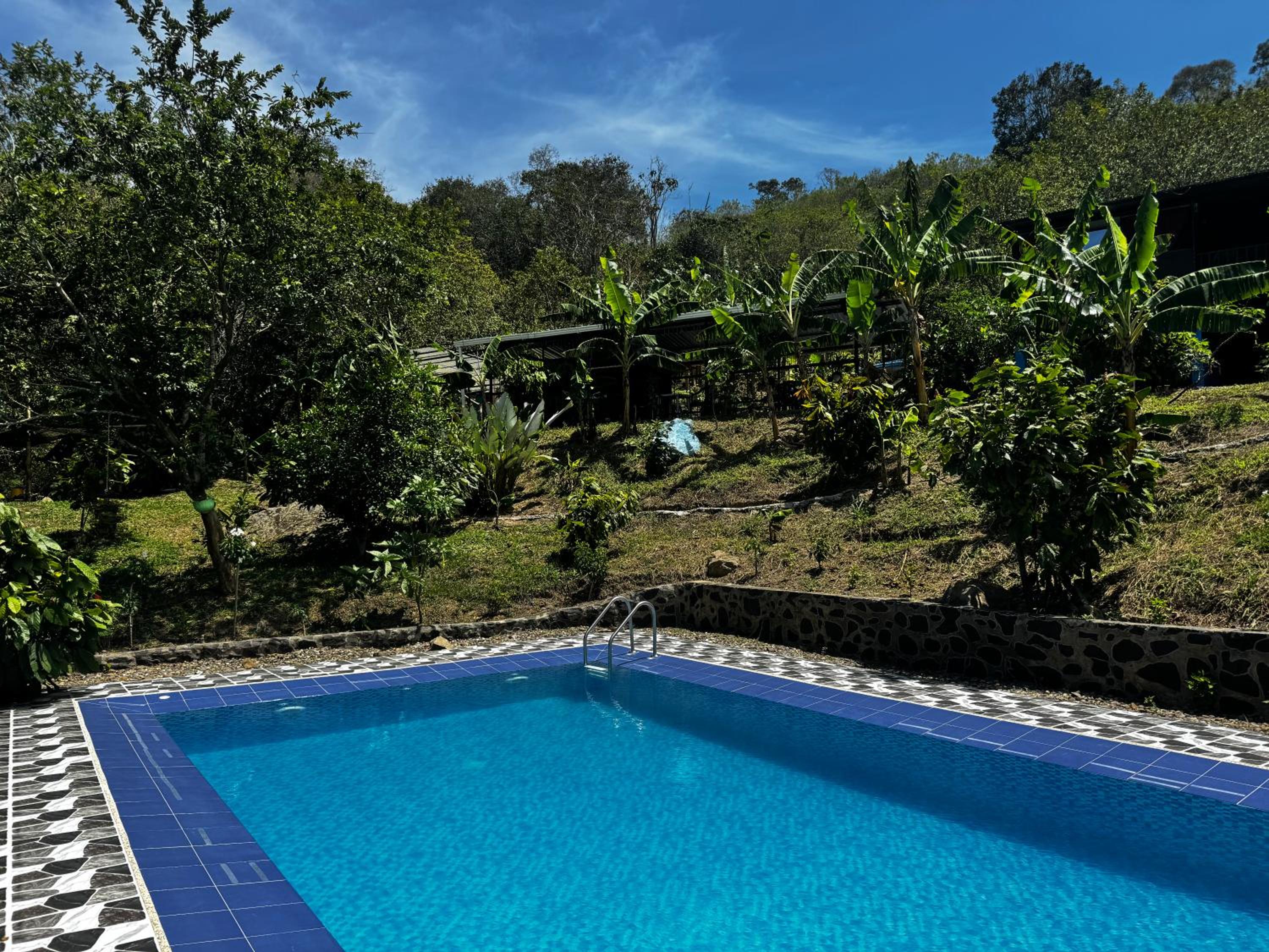 One-Bedroom Villa photo 2