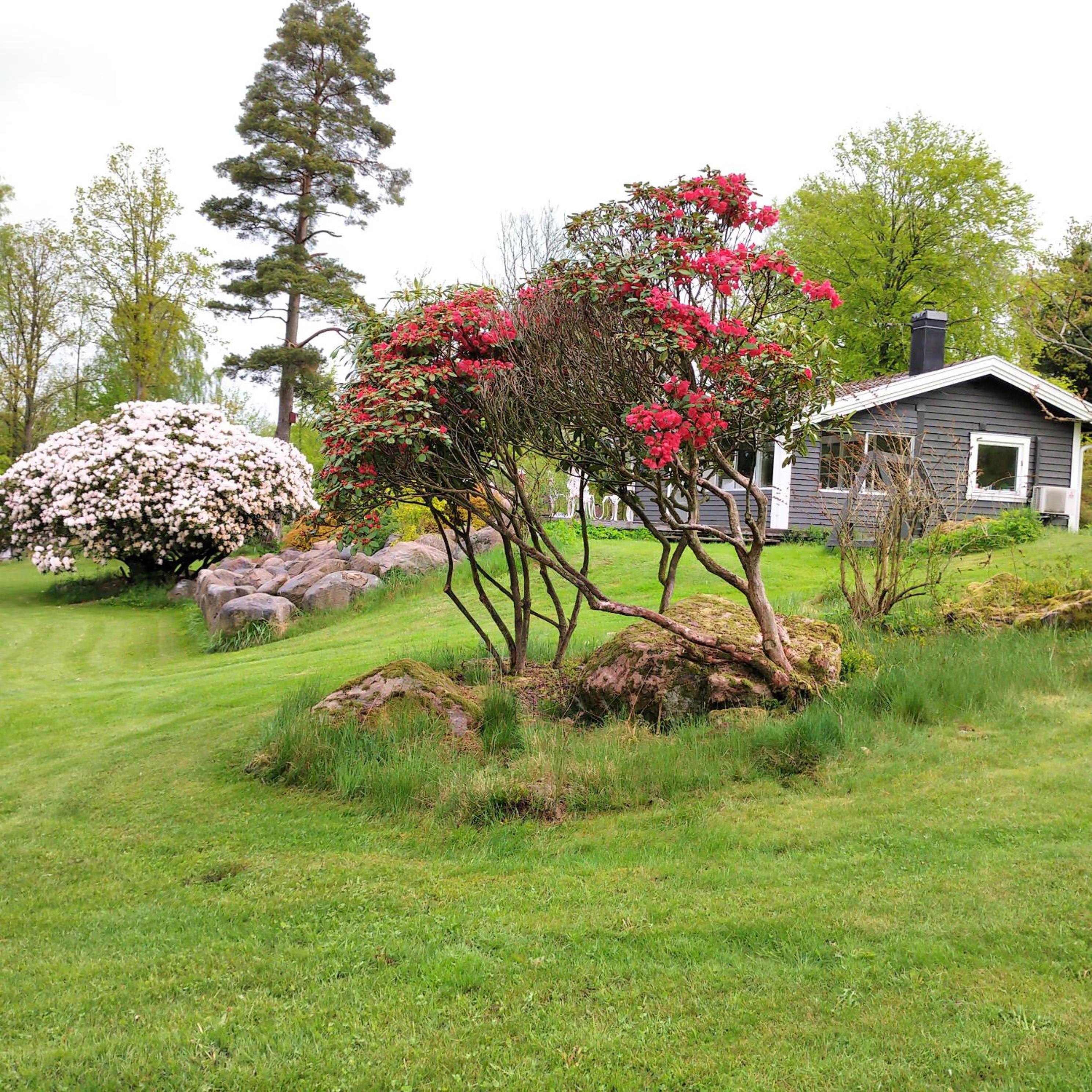 Two-Bedroom Holiday Home photo 2