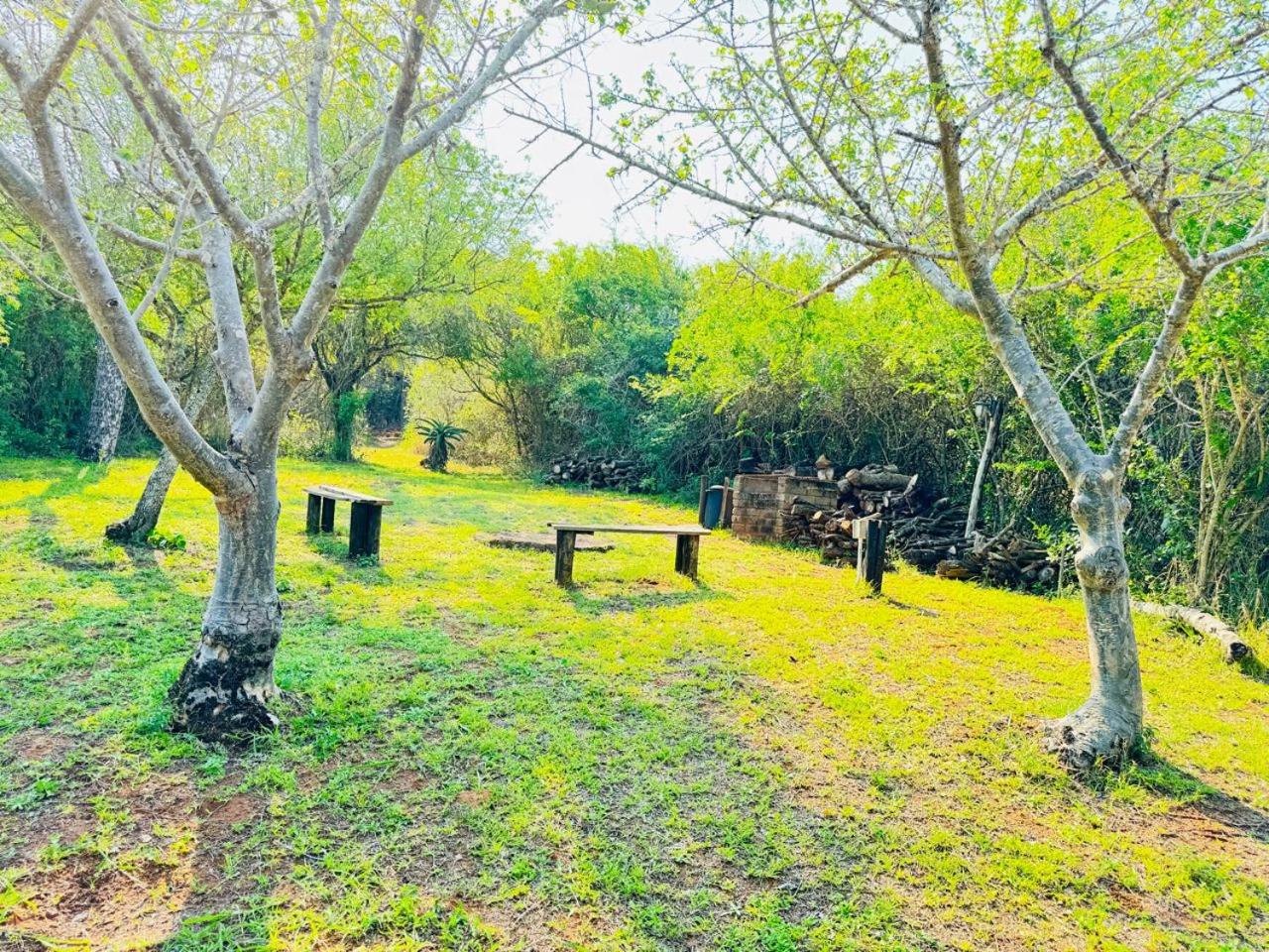 Vacation Home photo 2