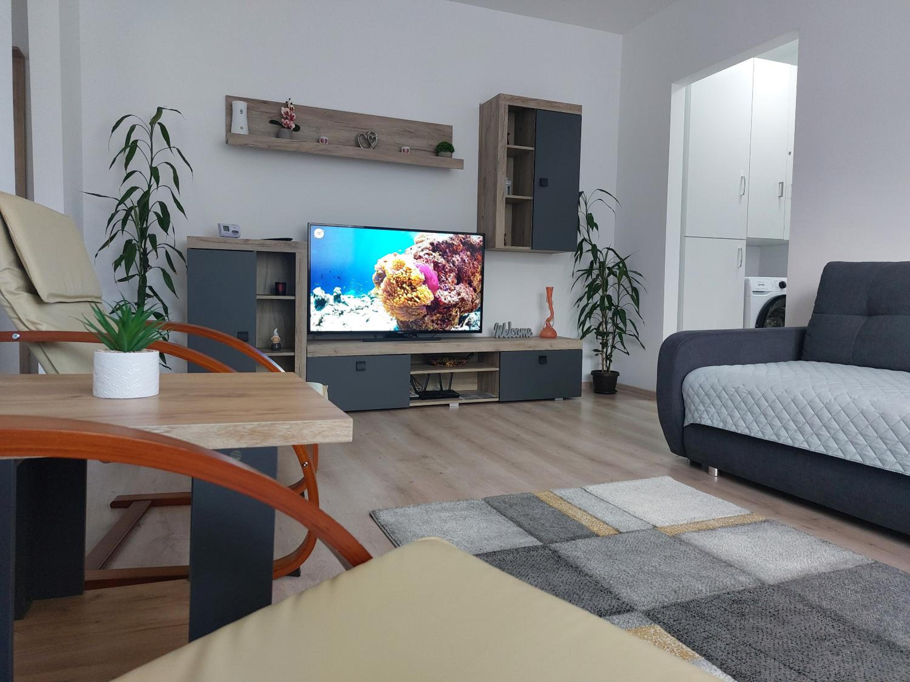 One-Bedroom Apartment photo 1
