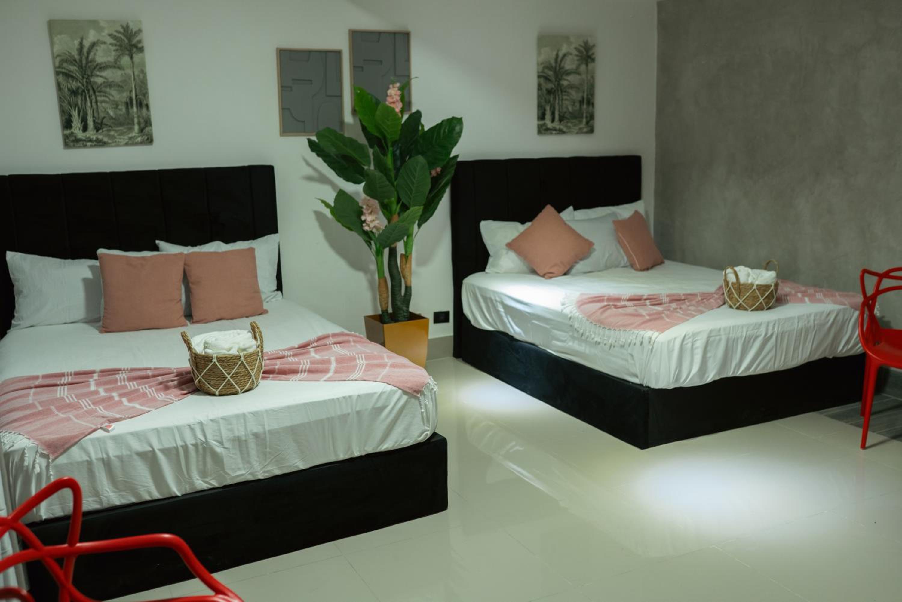 Twin Room photo 1