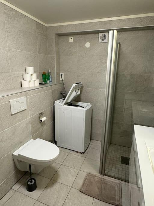 One-Bedroom Apartment photo 2