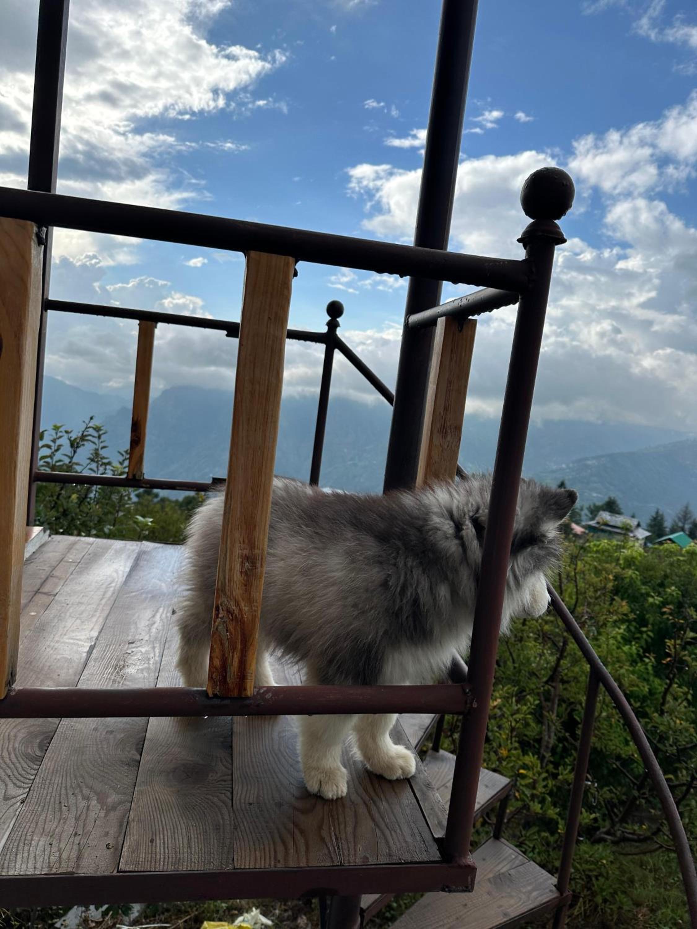 Triple Room with Mountain View photo 2