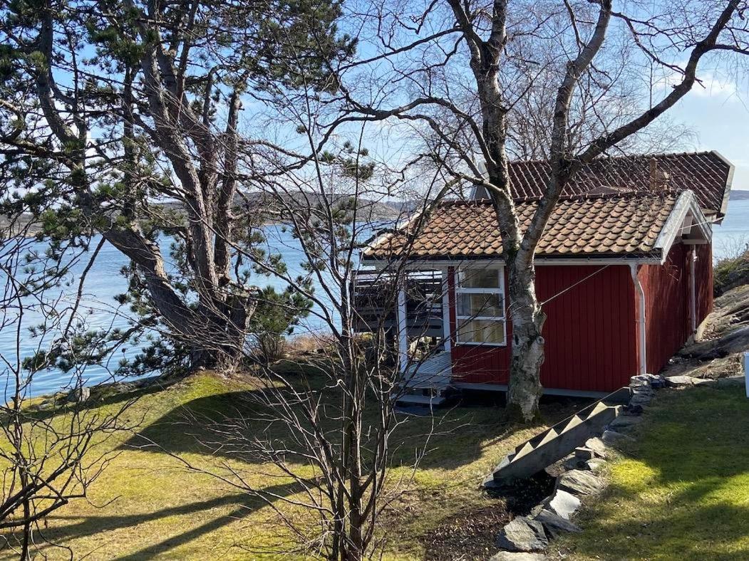 Vacation Home photo 3