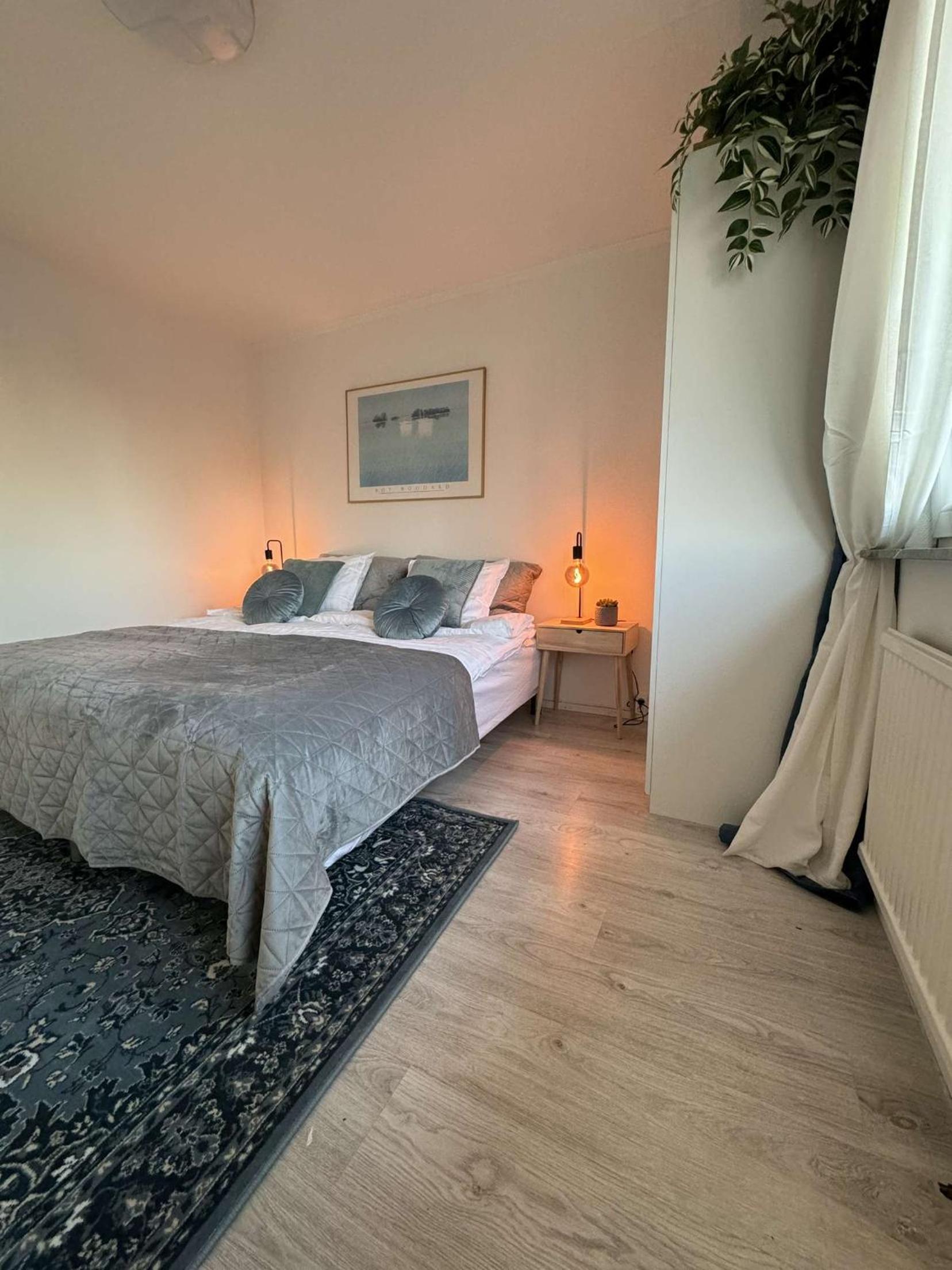 Classic One-Bedroom Apartment with King Bed photo 2