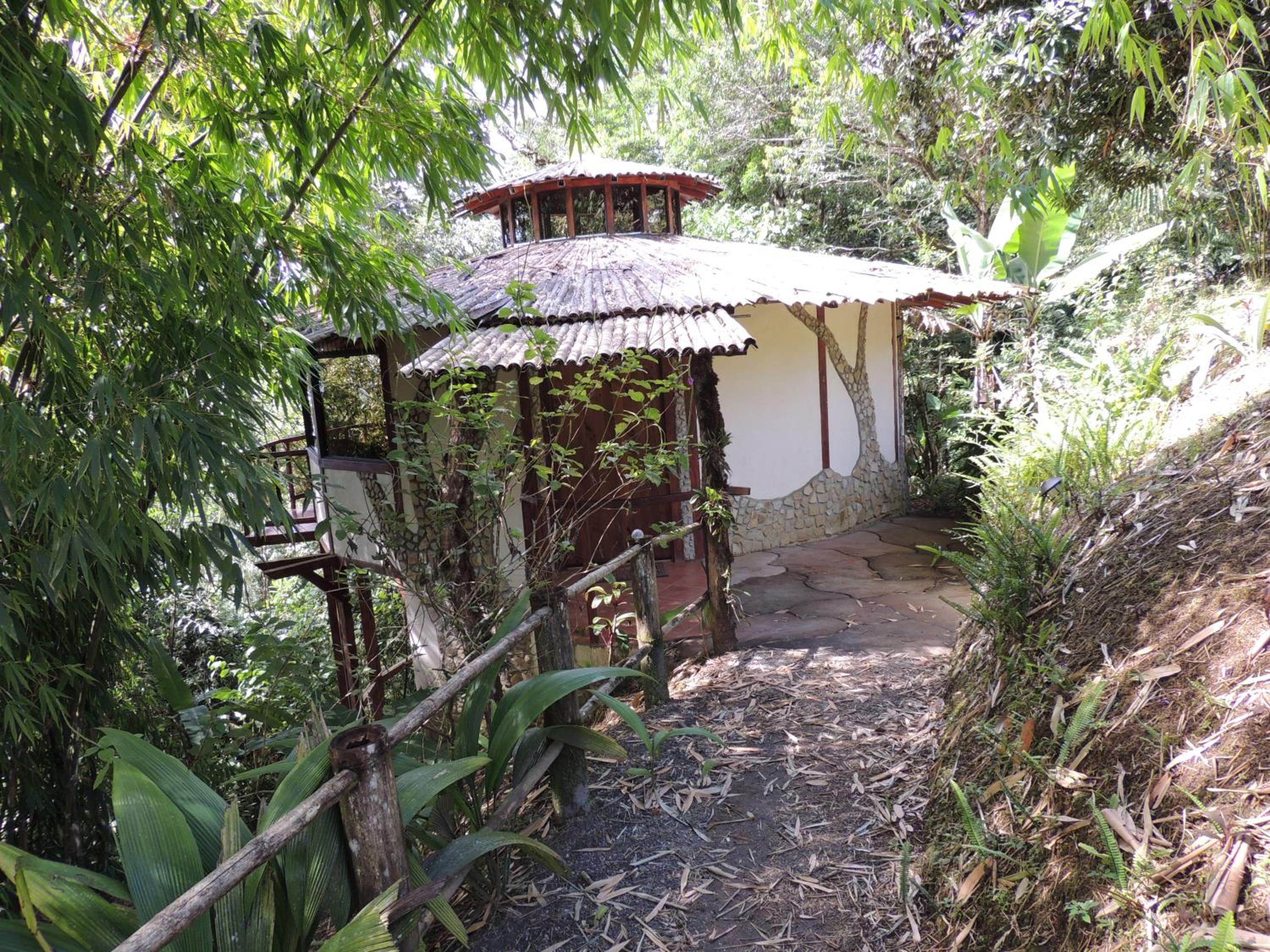 Bungalow (Bamboo)  photo 2