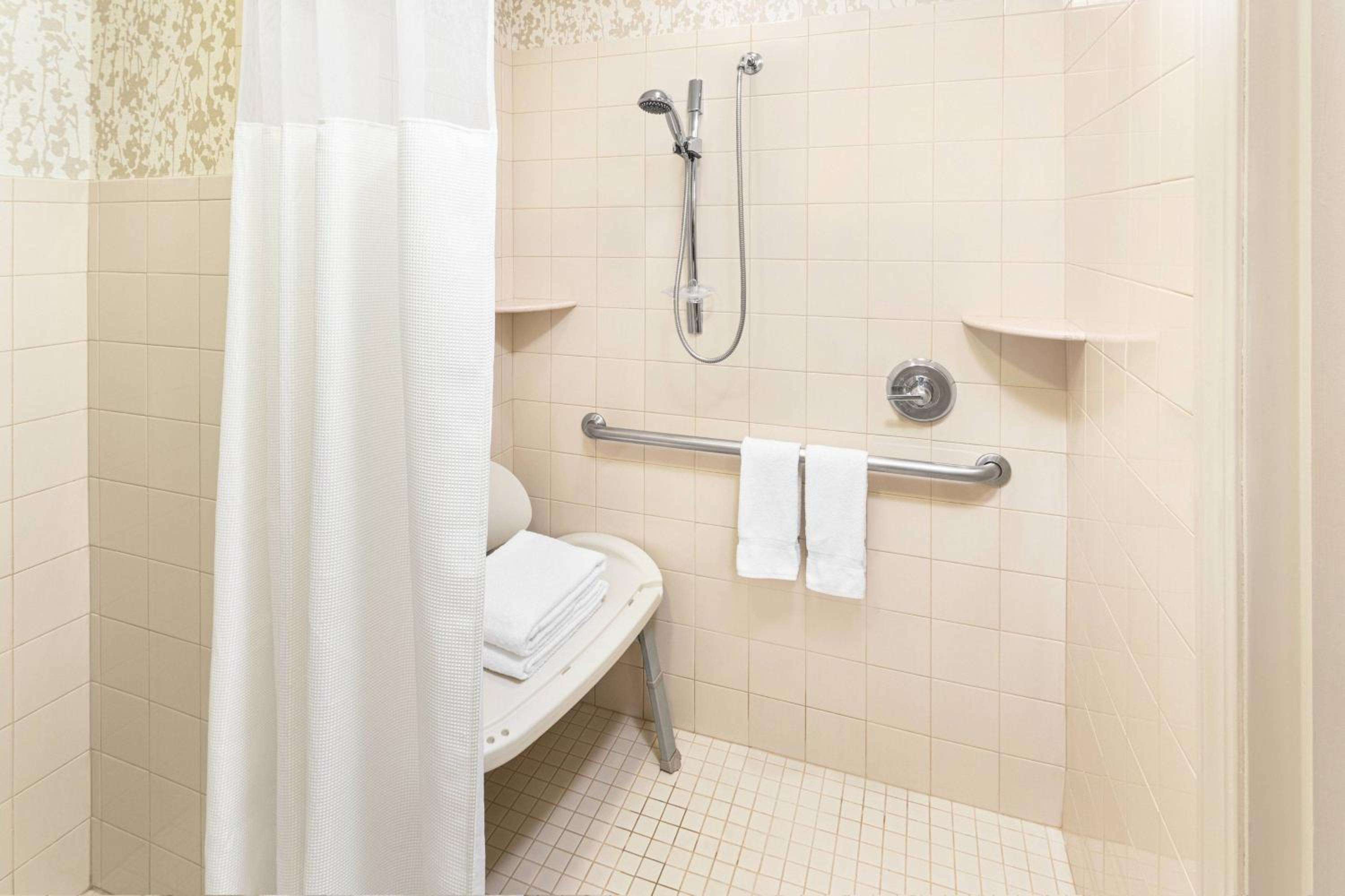 One-Bedroom Suite - Photo 3