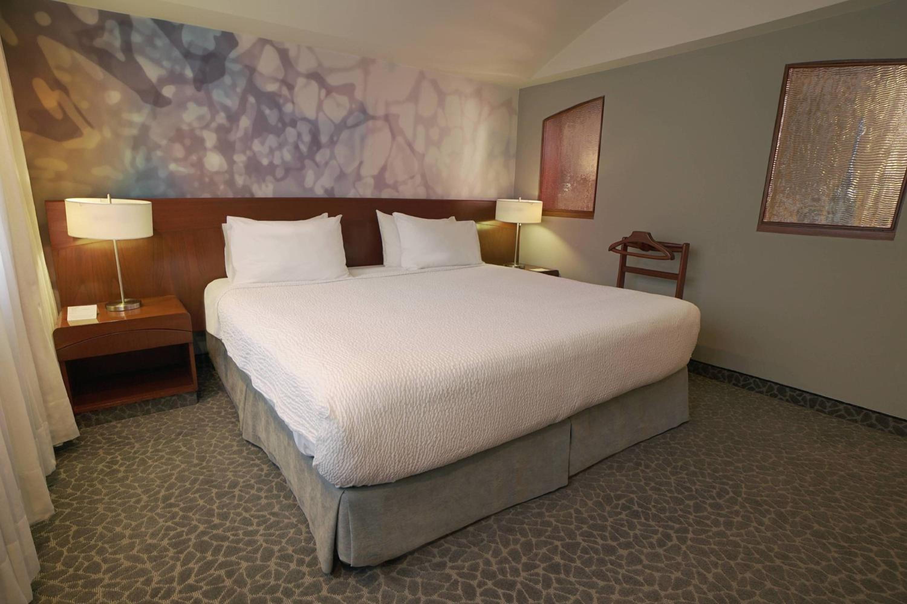 Master Suite - Photo 4