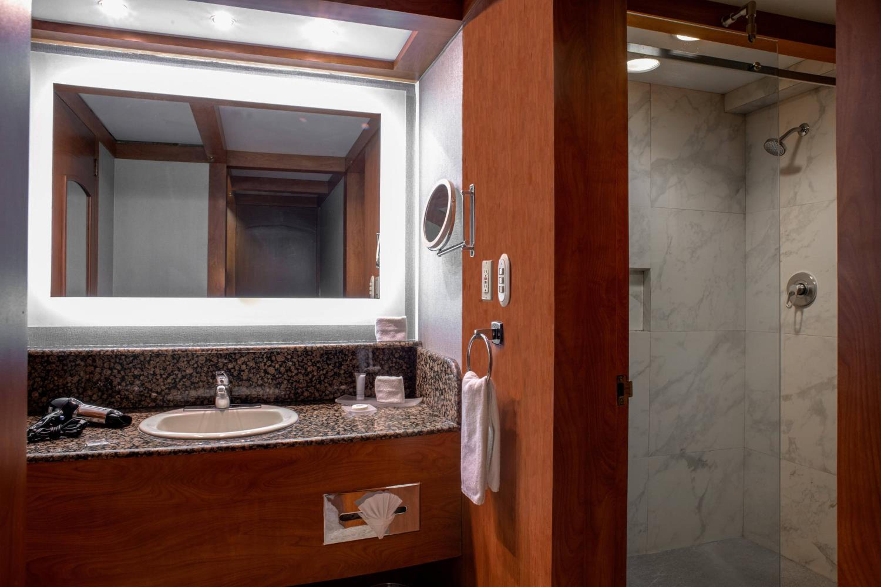 One-Bedroom King Suite - Photo 3