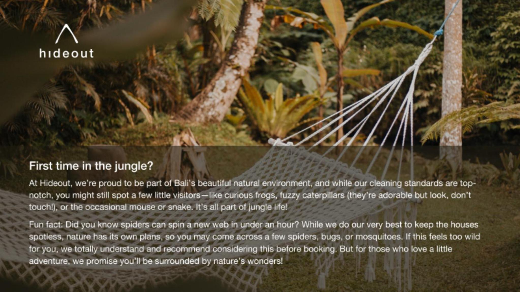 Hideout Falcon - Photo 13
