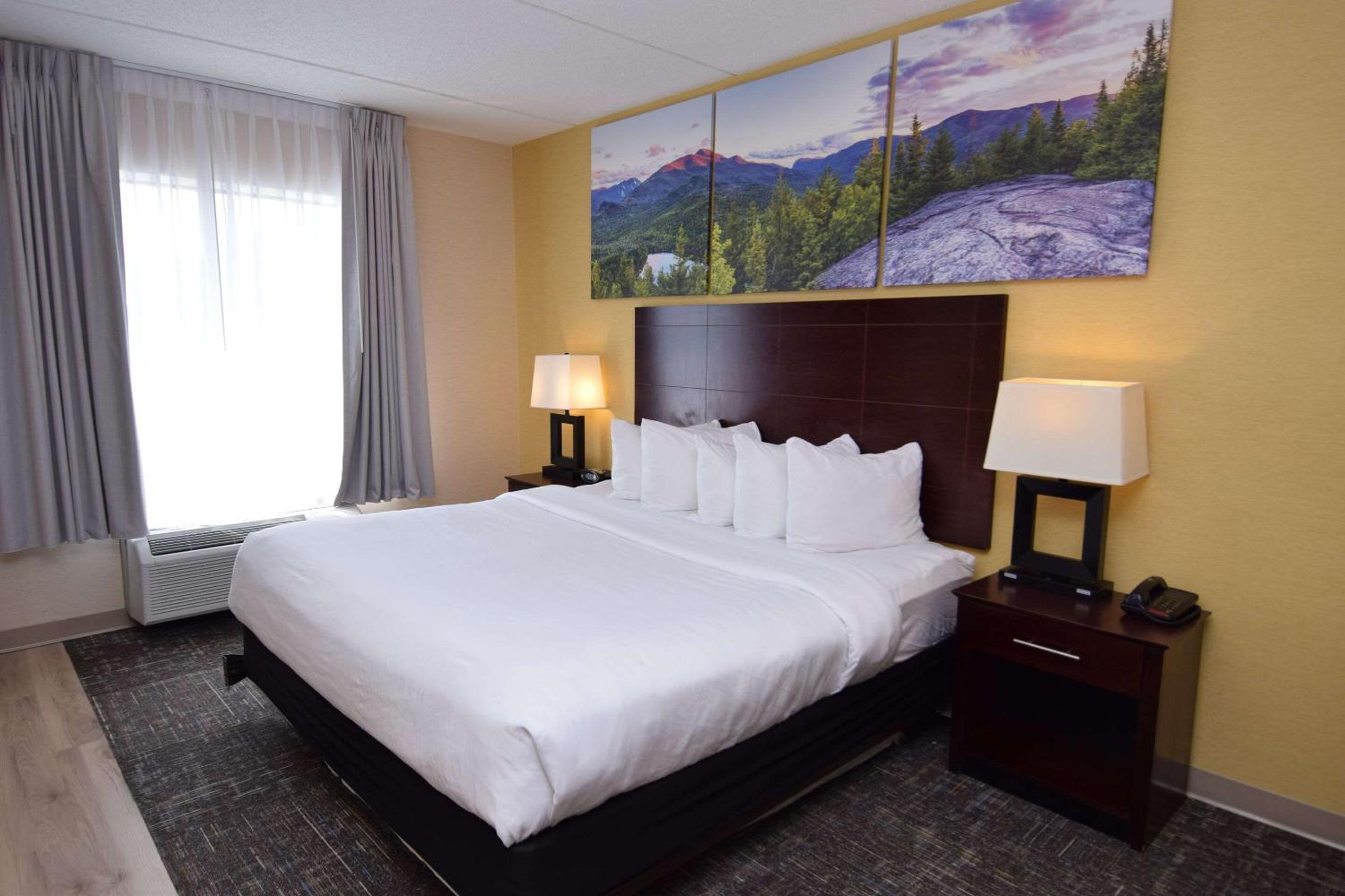 King Suite - Photo 4