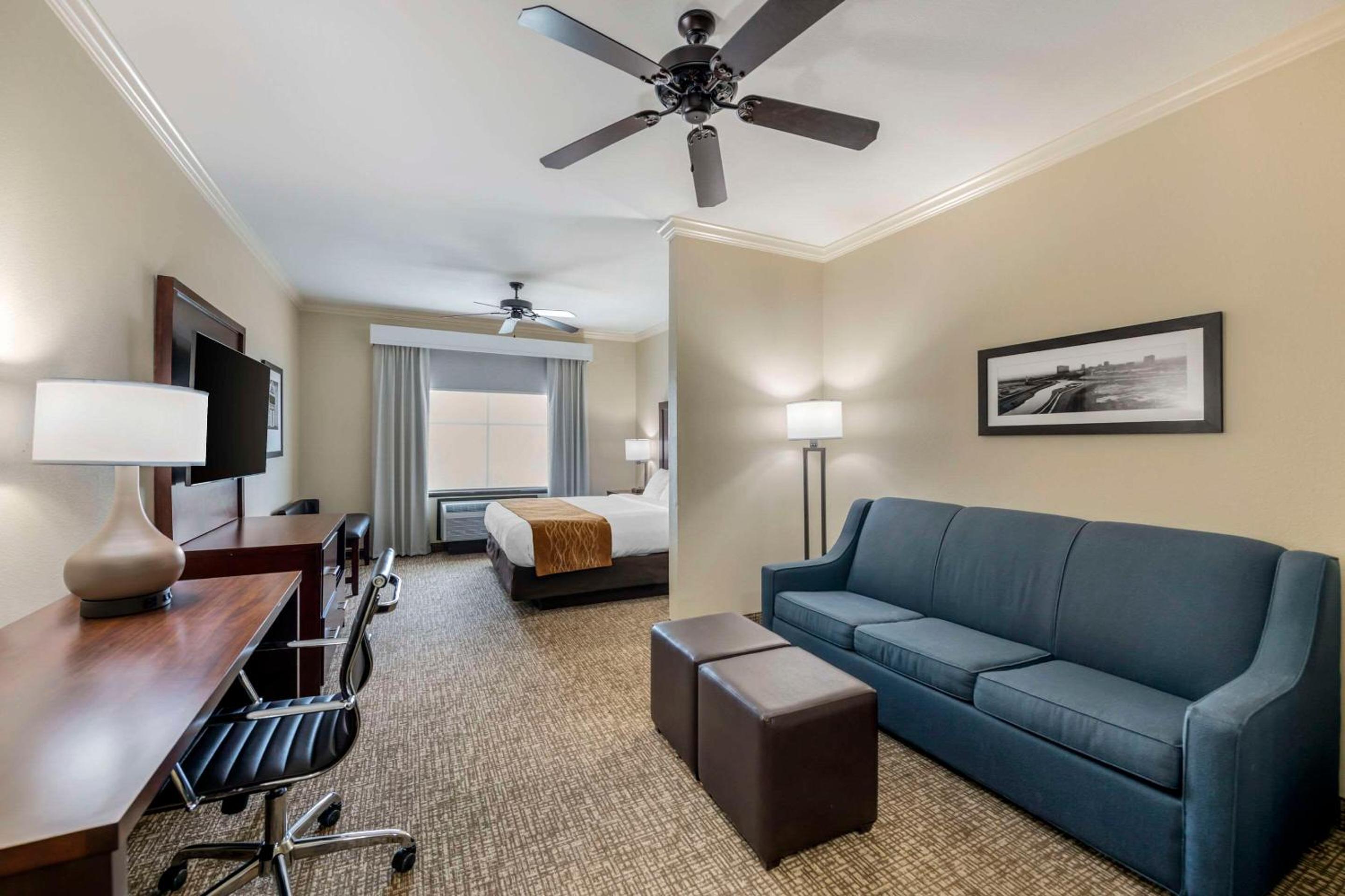 King Suite - Photo 4