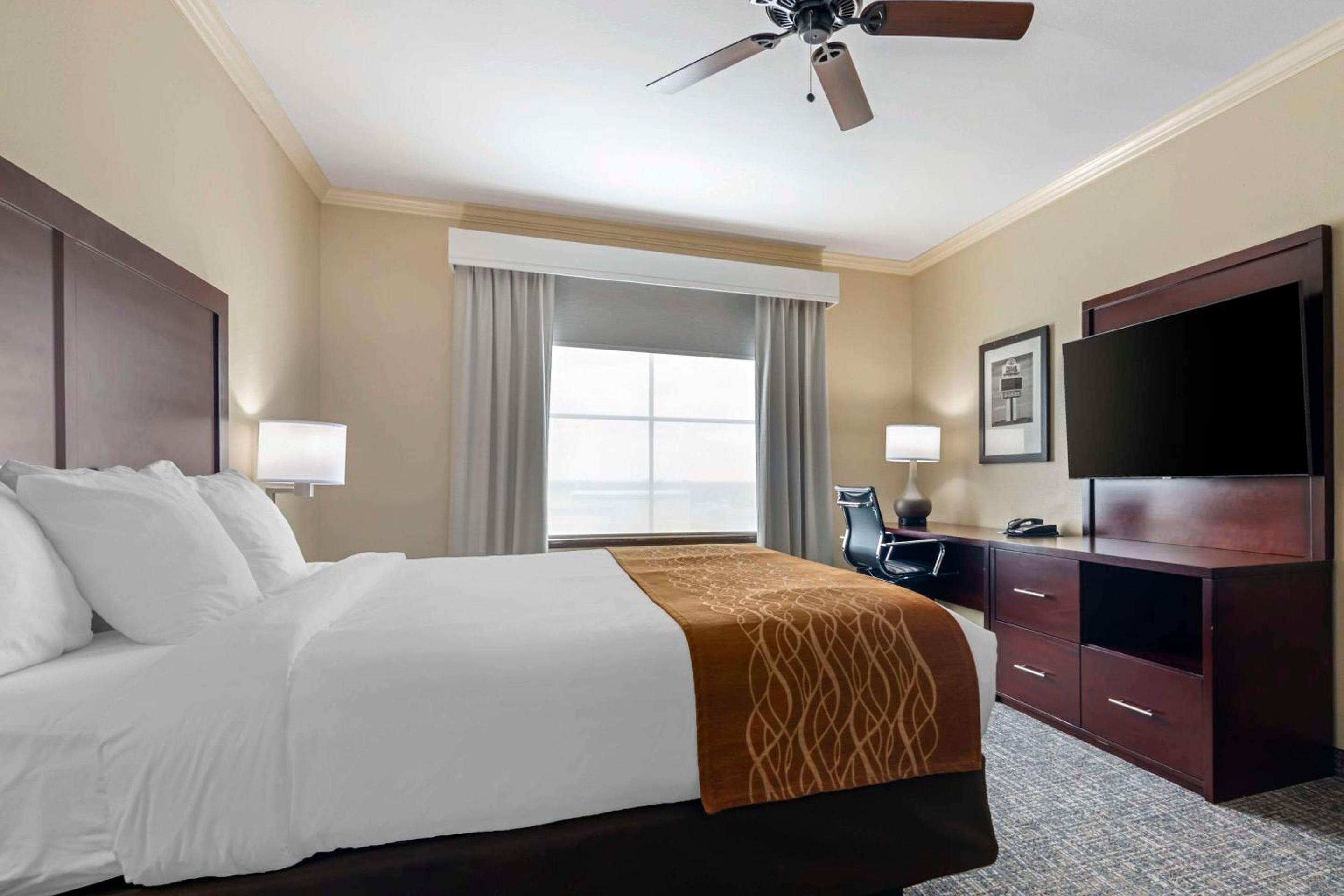 King Suite - Photo 1