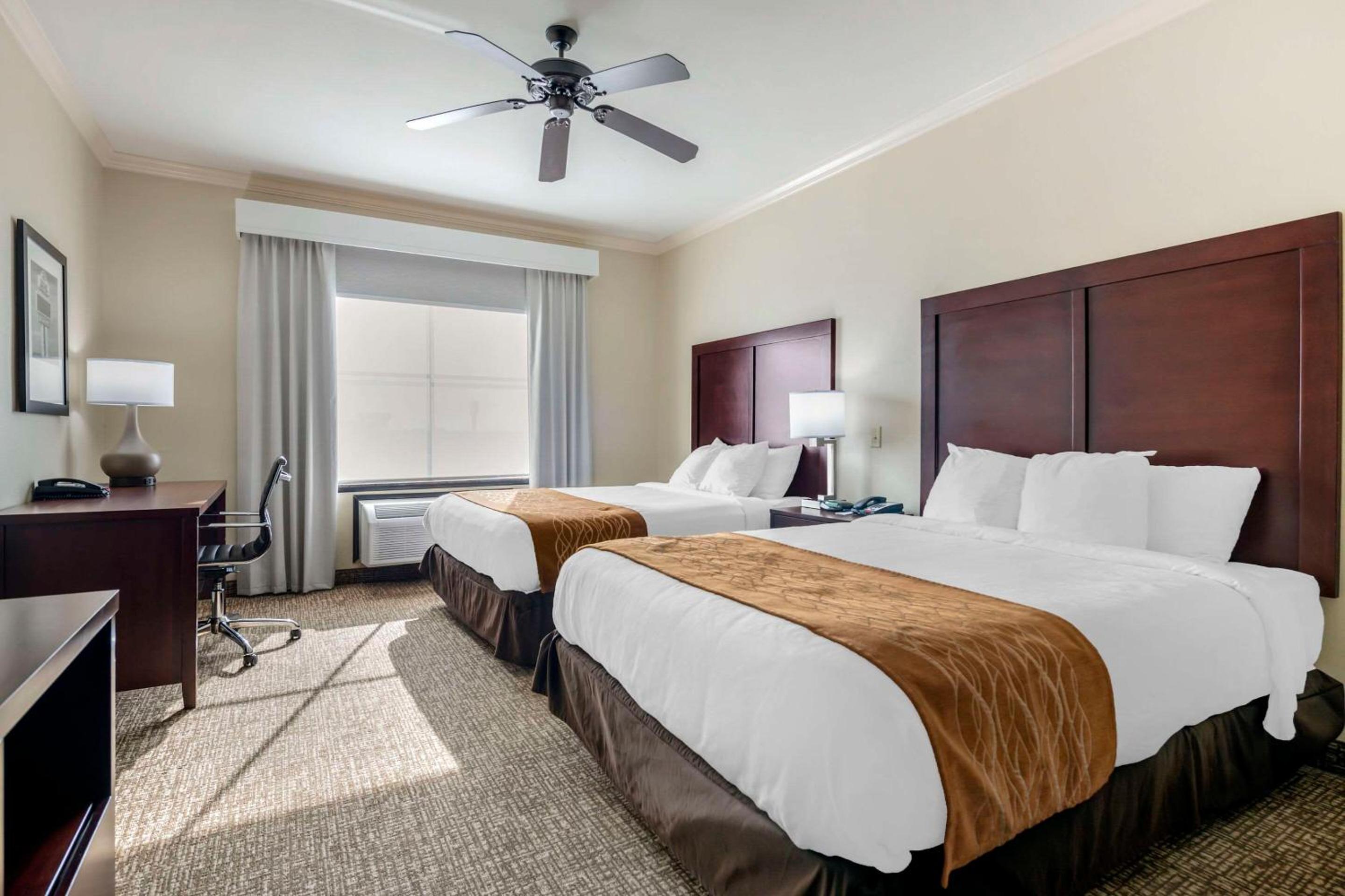 Queen Suite with Two Queen Beds - Photo 5