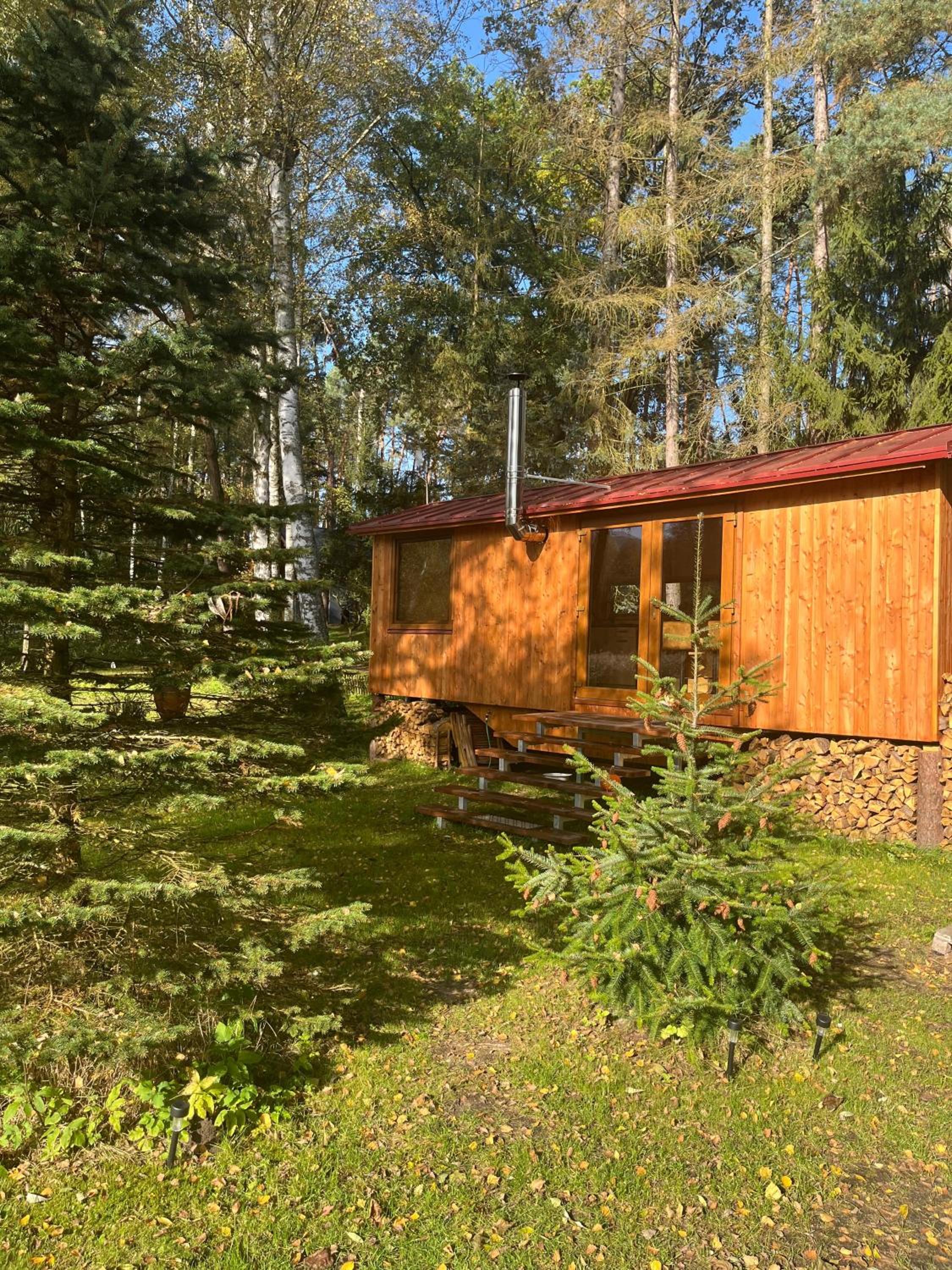 Mobile Home photo 3
