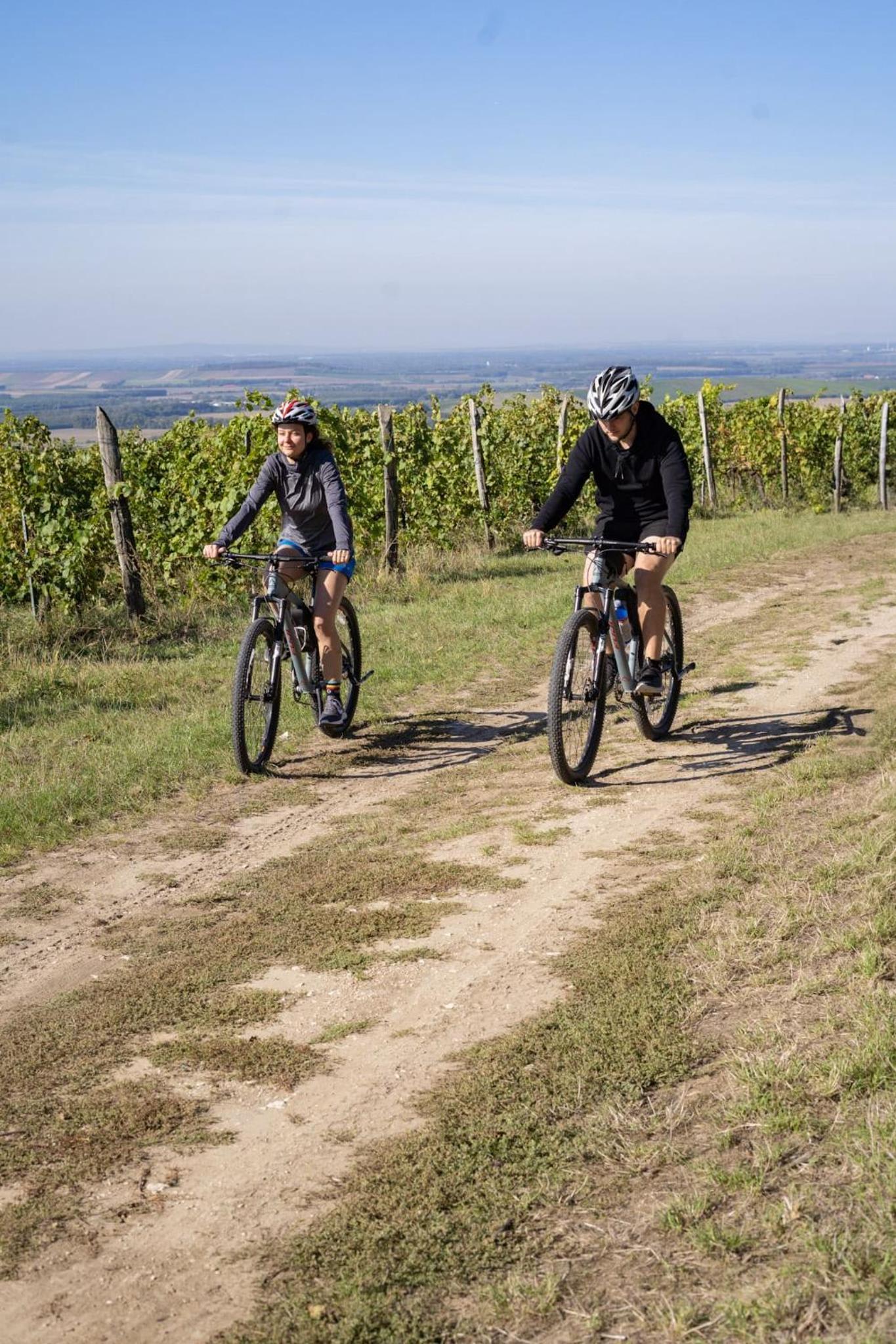 Two-Bedroom Apartment photo 3