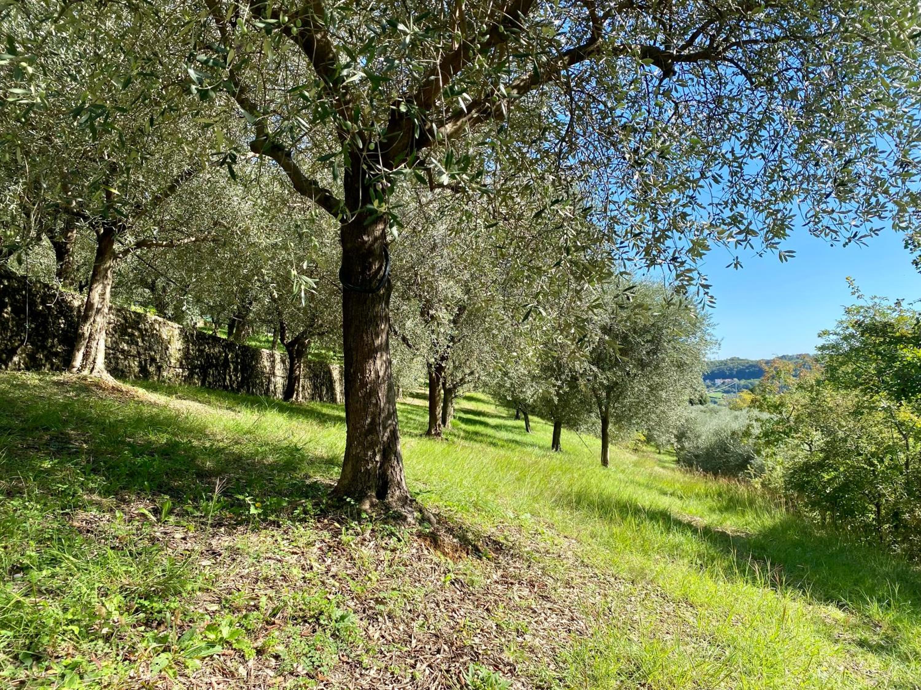 Agri-alloggio le Poscole Al Canton, Billede 18