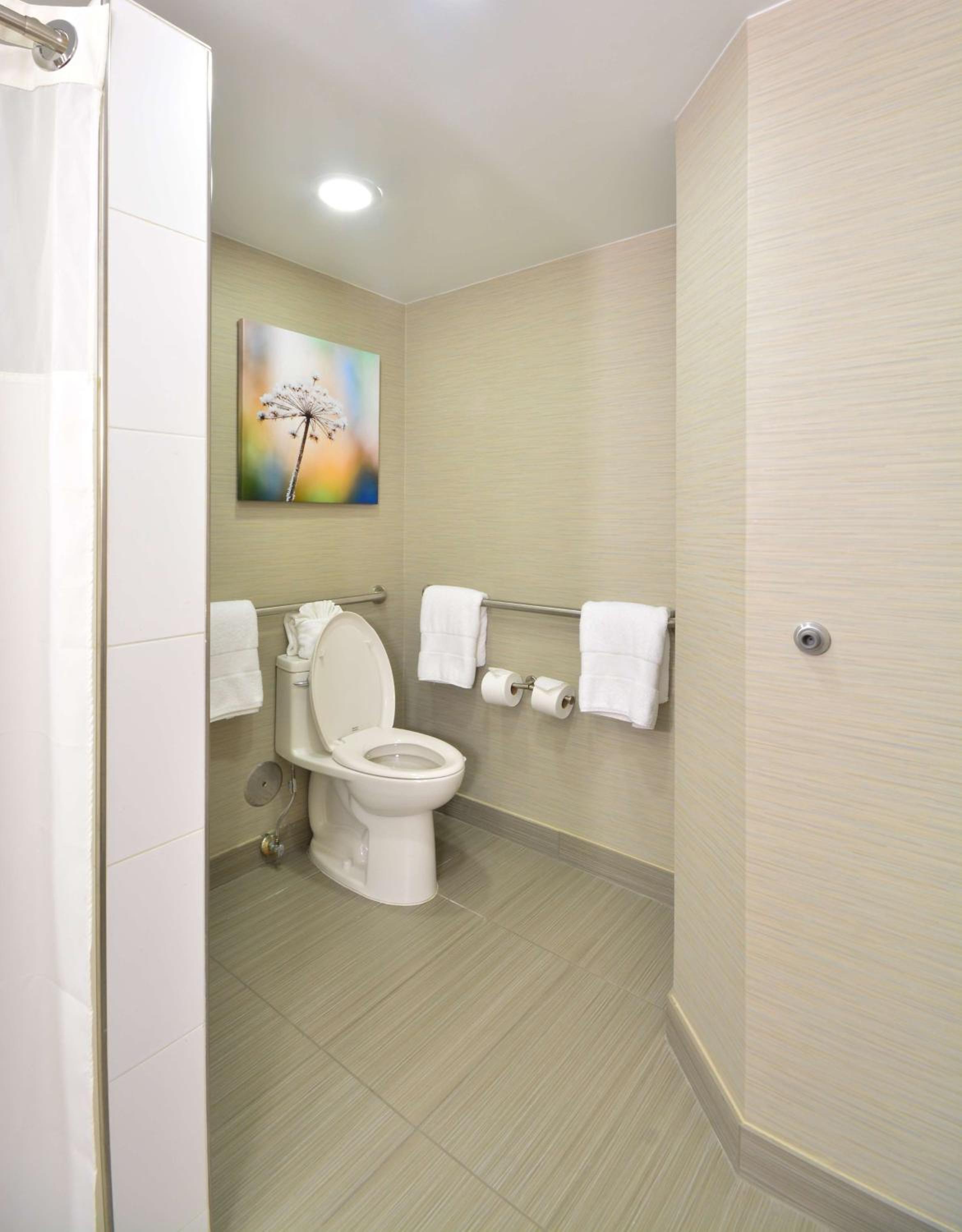 King Suite with Accessible Tub - Mobility and Hearing Access/Non-Smoking - Photo 4