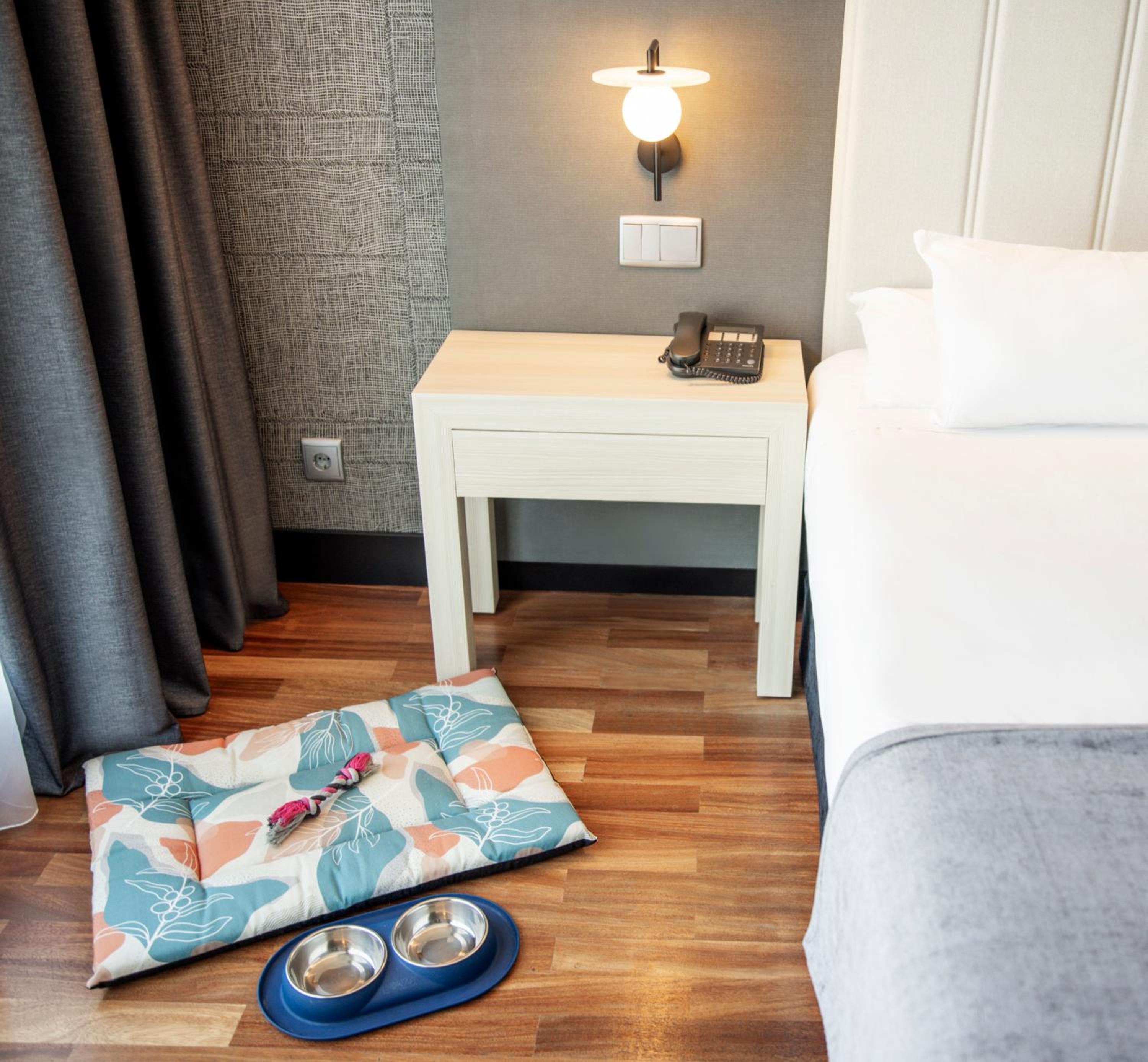 Standard Double Room Pet Friendly - Photo 1
