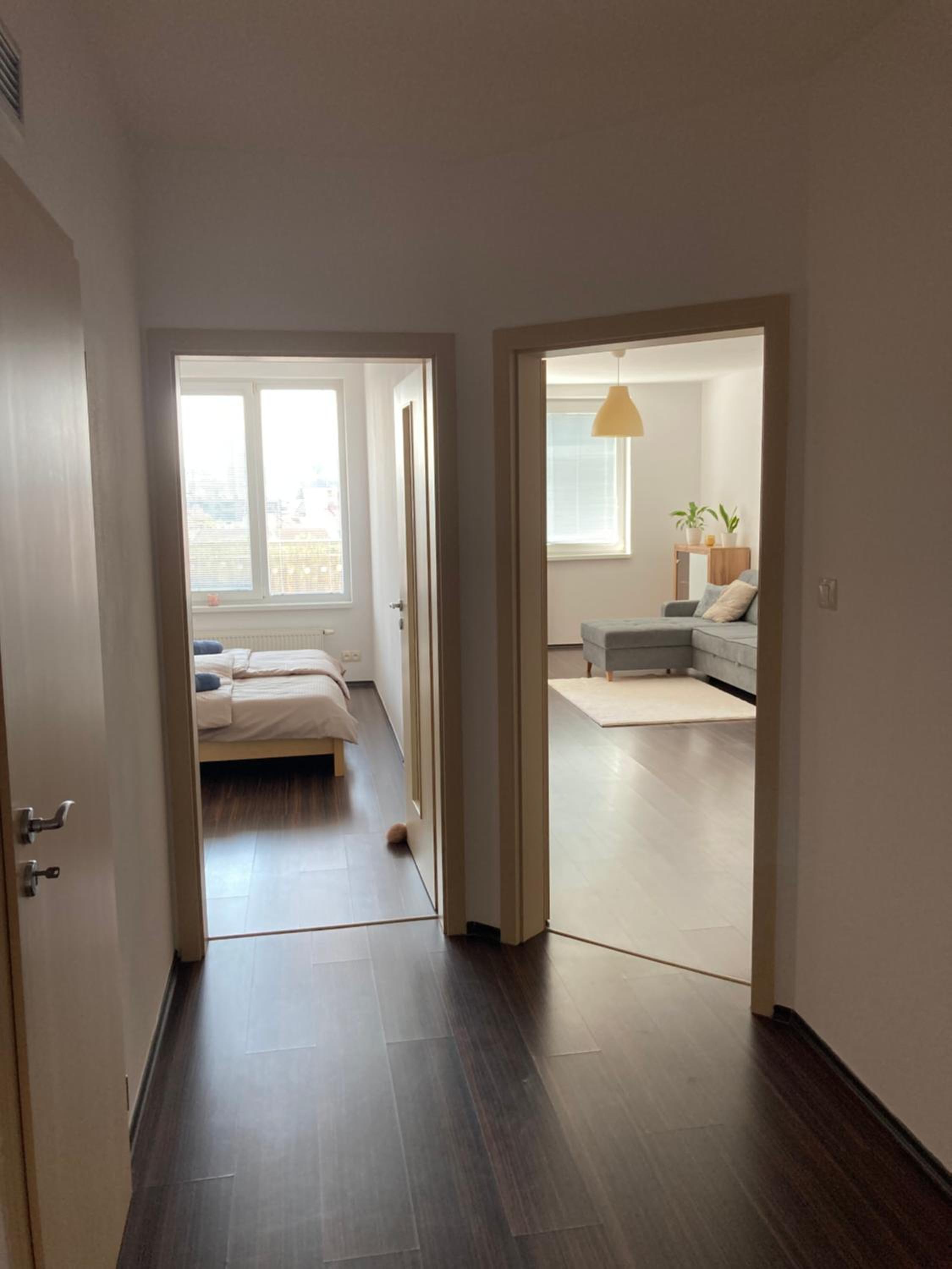One-Bedroom Apartment photo 2