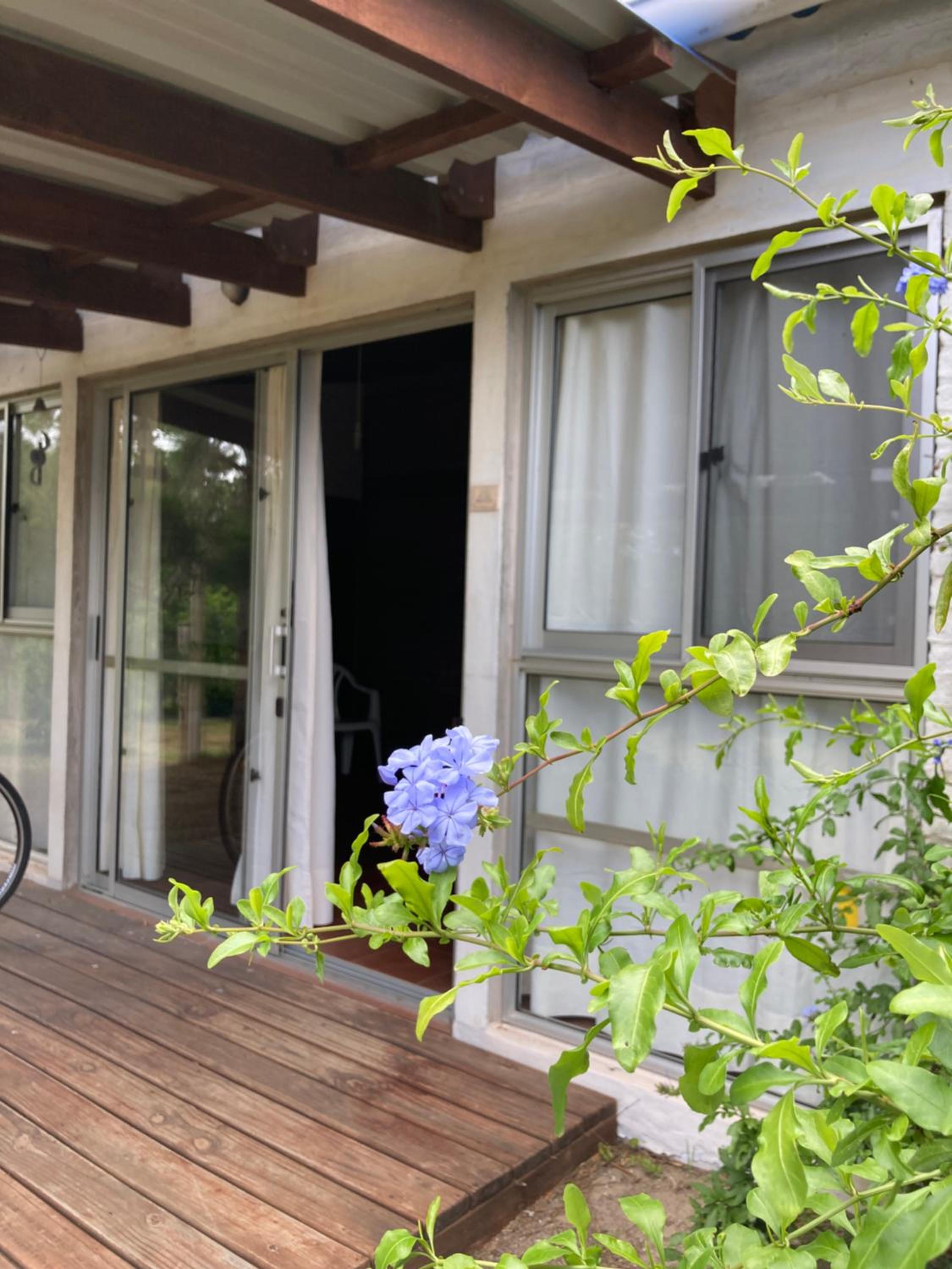 Studio with Garden View photo 1