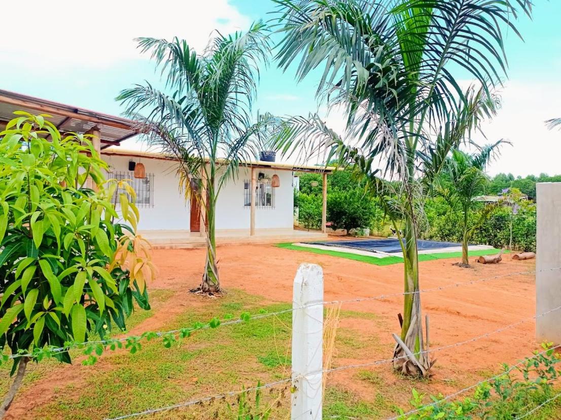 Three-Bedroom House photo 3