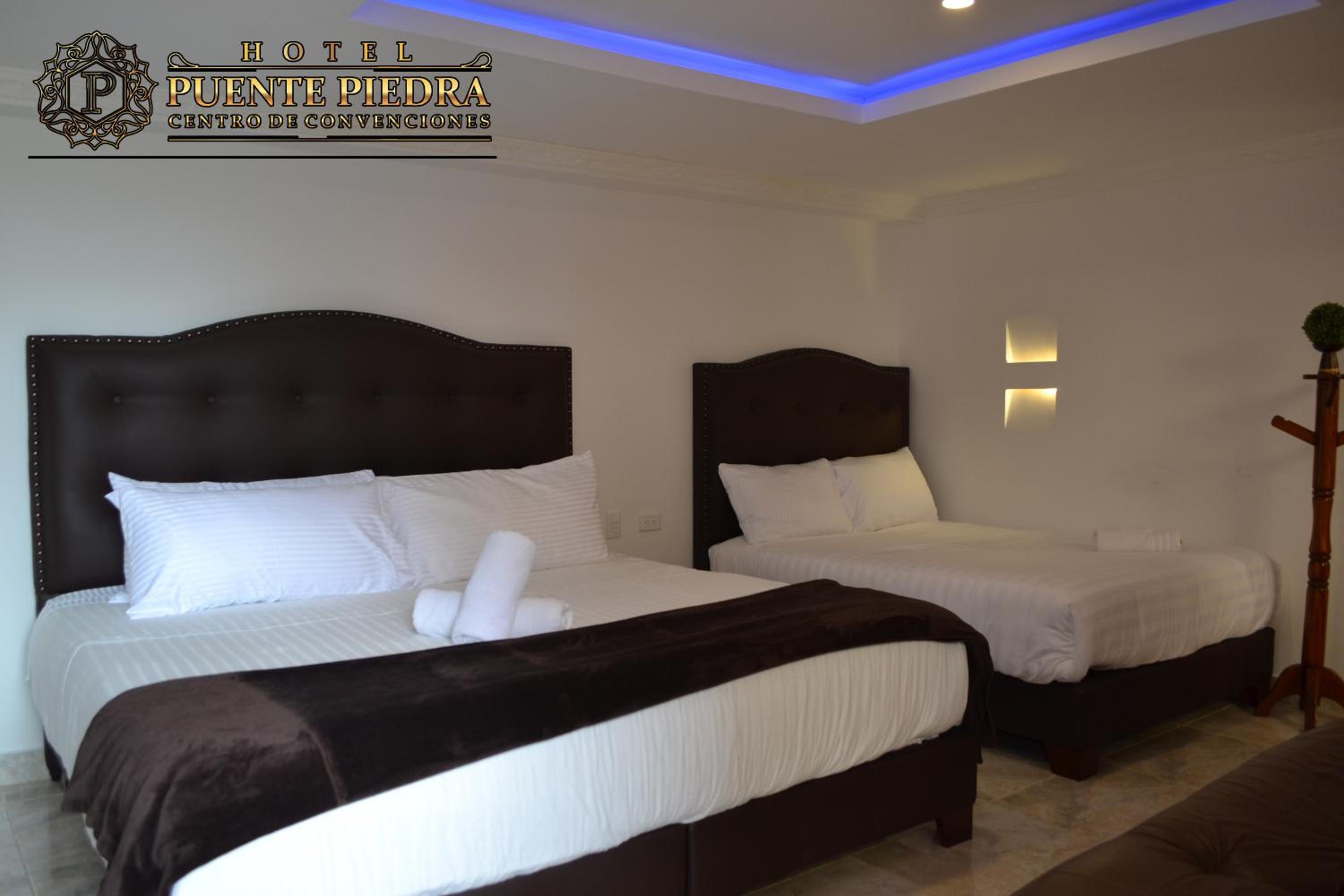 Superior Twin Room with Garden View photo 3