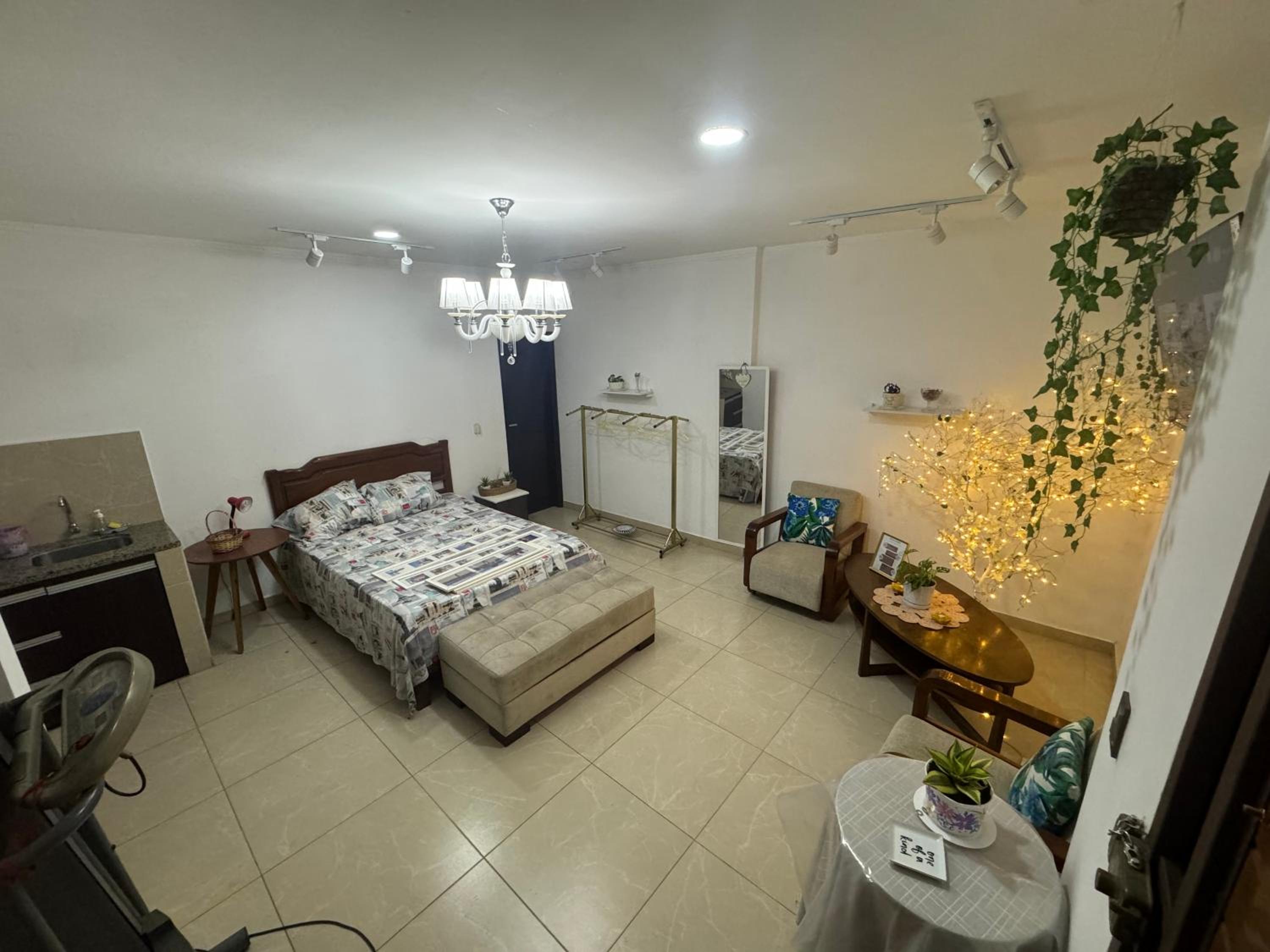 One-Bedroom Apartment photo 2