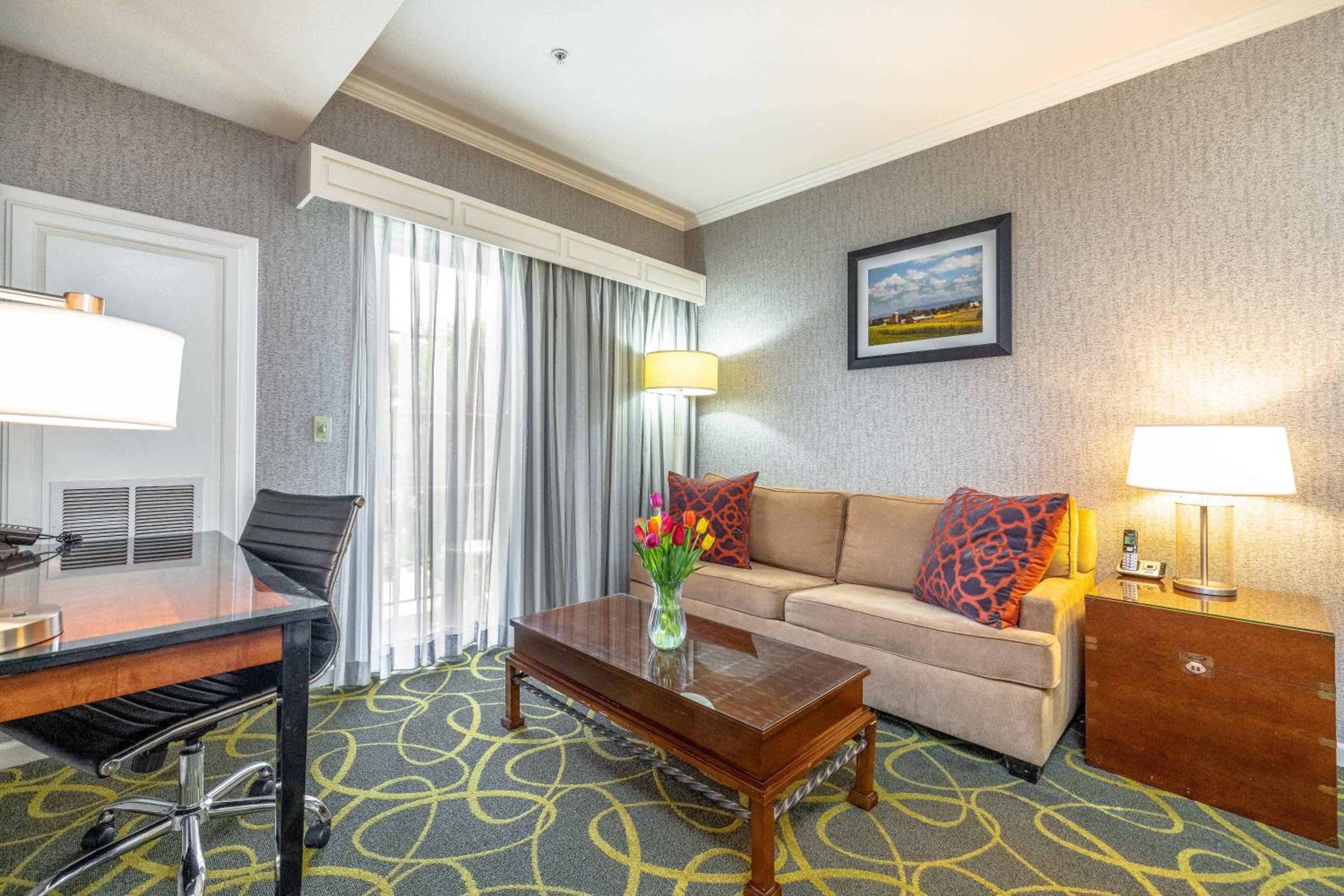 Queen Suite with Roll-In Shower and Sofa Bed - Mobility/Hearing Accessible/Non-Smoking - Photo 4