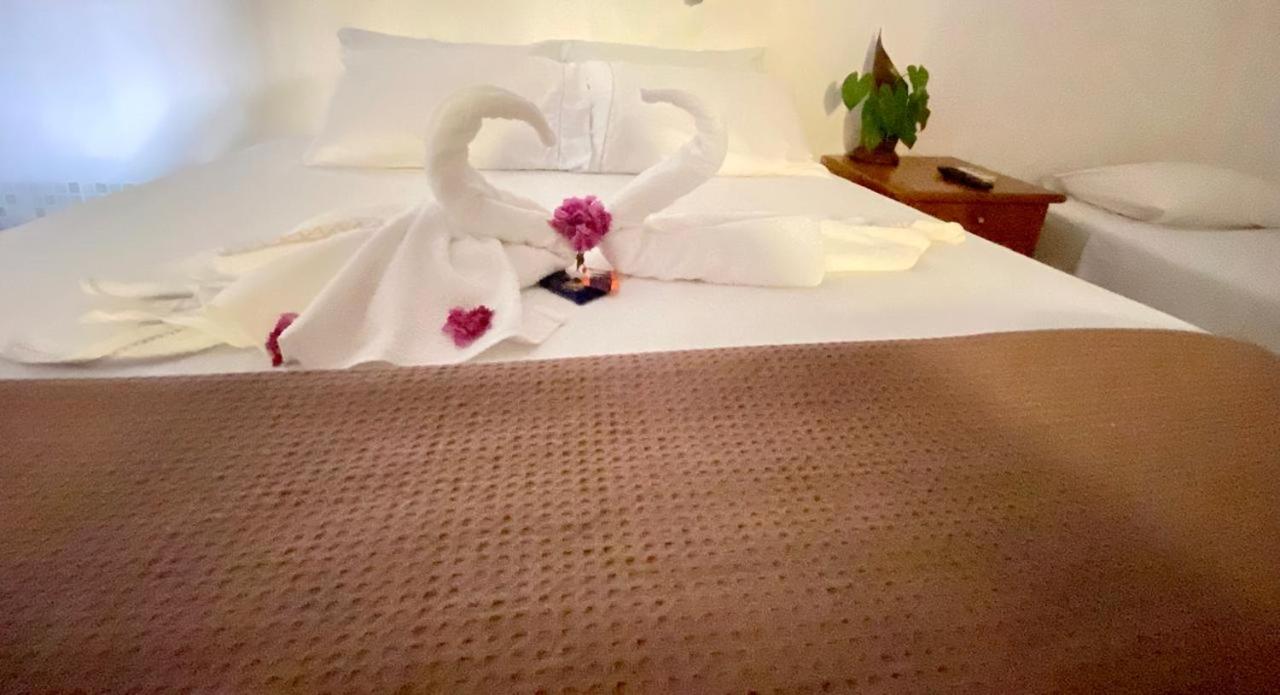 Standard Suite - Photo 10