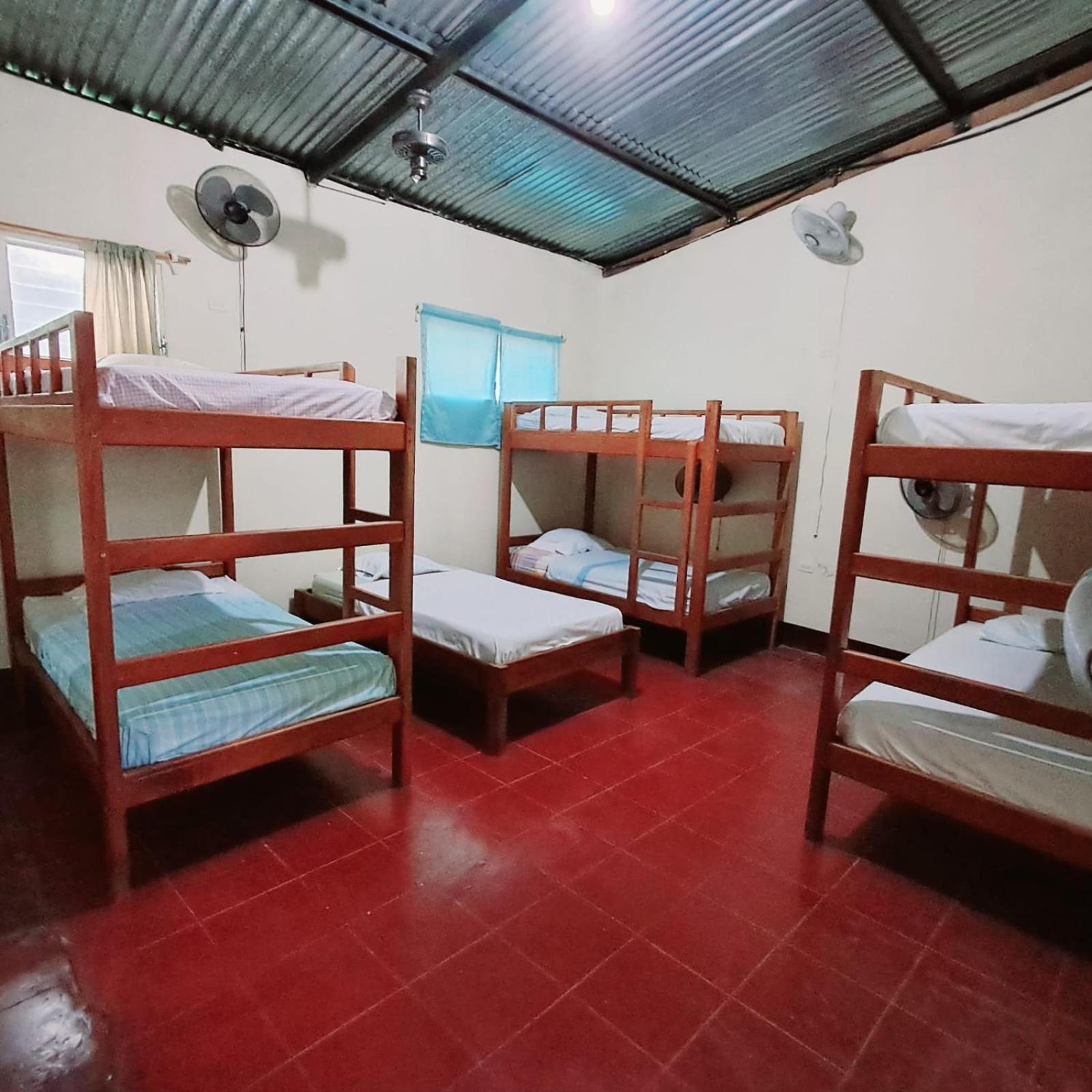 Single Bed in Dormitory Room photo 3