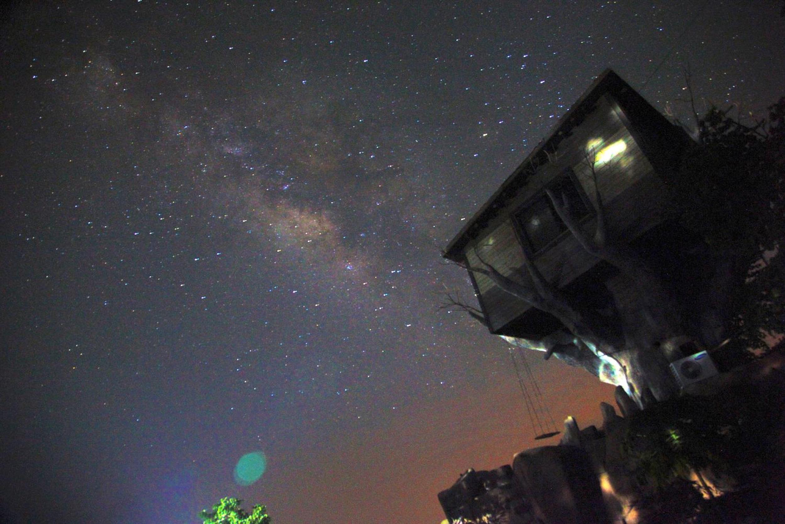 Tree House - Photo 2