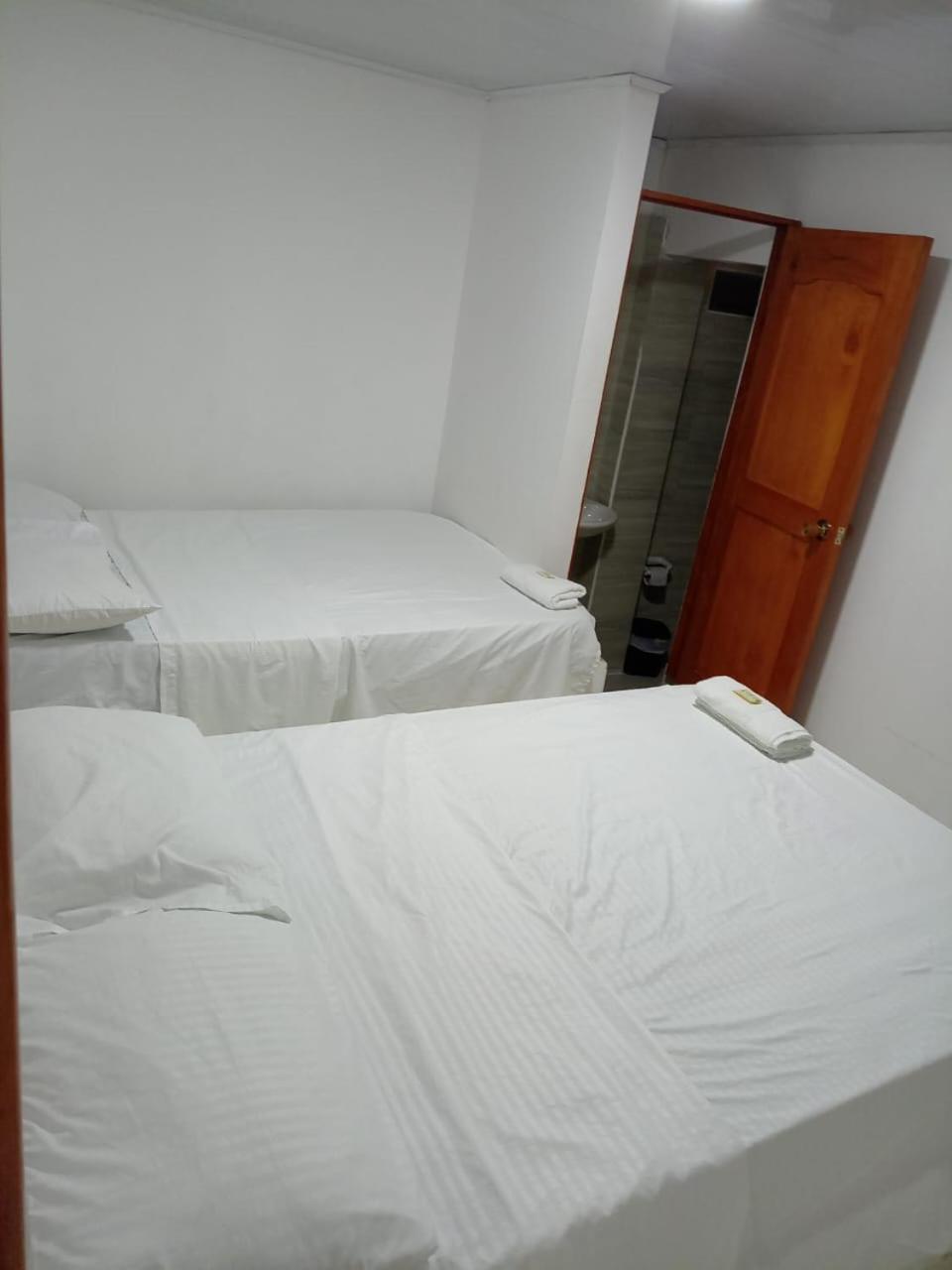 Twin Room photo 2