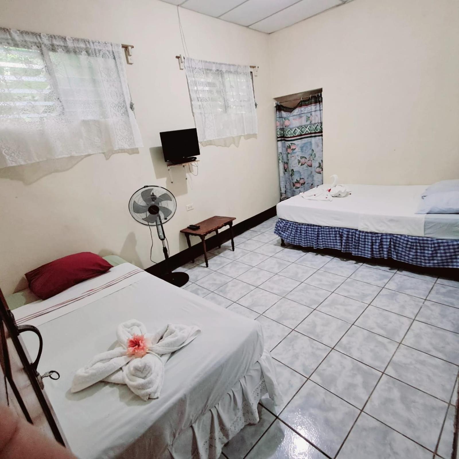 Superior Twin Room photo 3