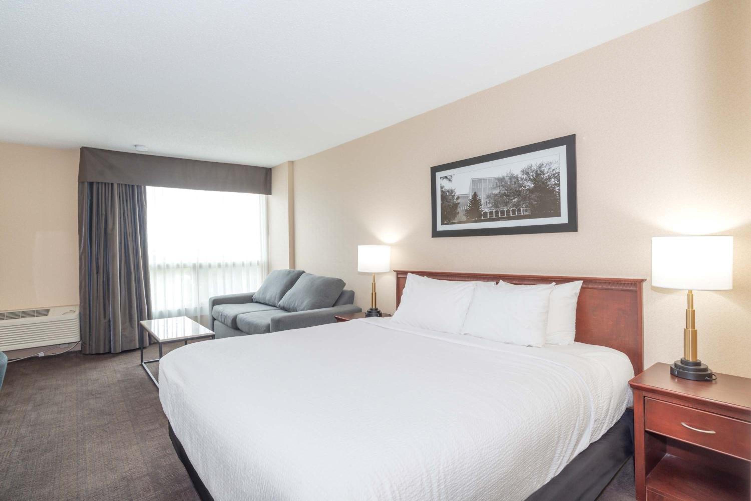Standard Room, 1 King Bed, Sofa Bed