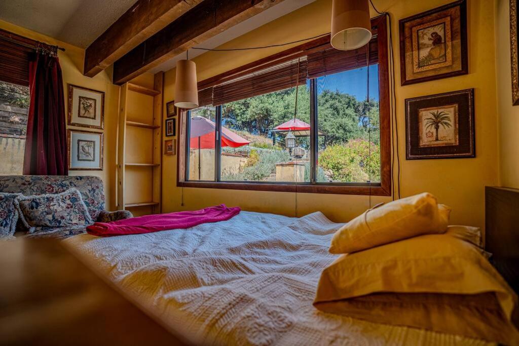 Double Room With Garden View photo 2