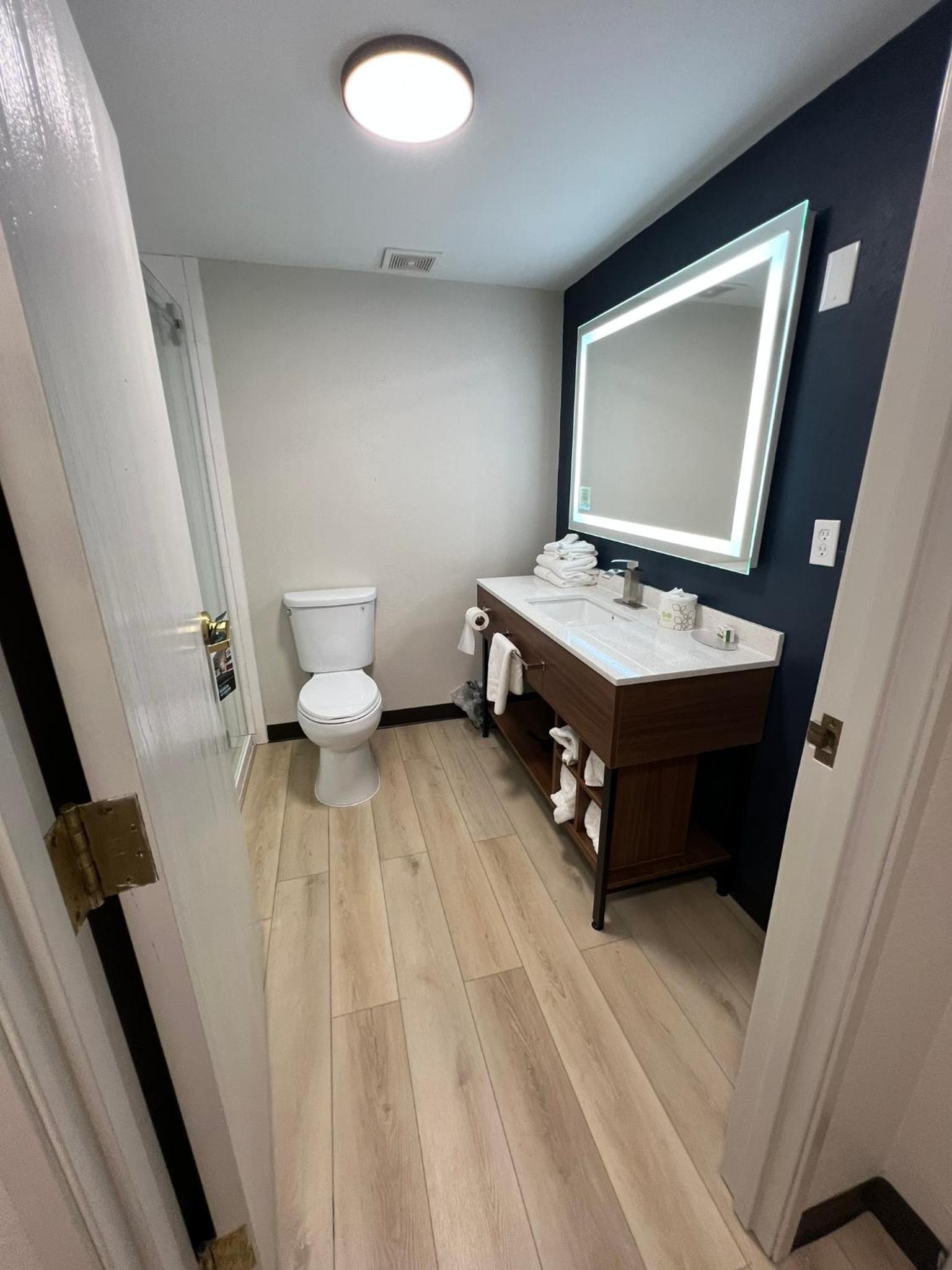 Deluxe King Studio Suite - Non-Smoking - Photo 2