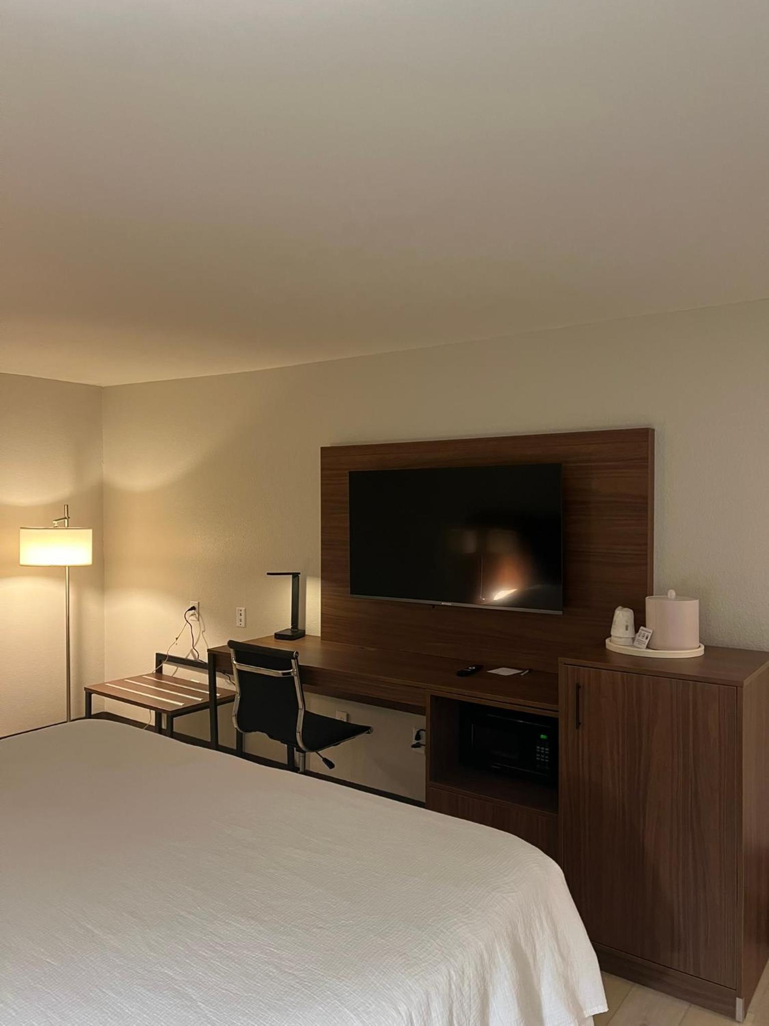 Deluxe King Studio Suite - Non-Smoking - Photo 1