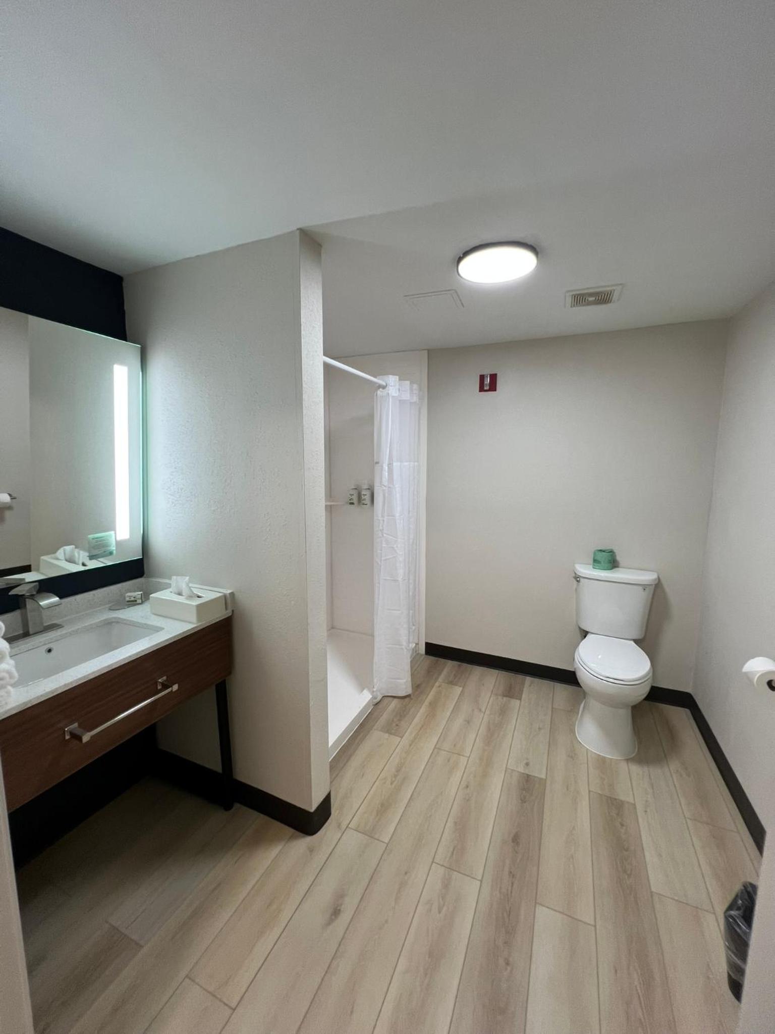 King Room with Mobility Access and Bathtub with Grab Bars, Non-Smoking - Photo 3