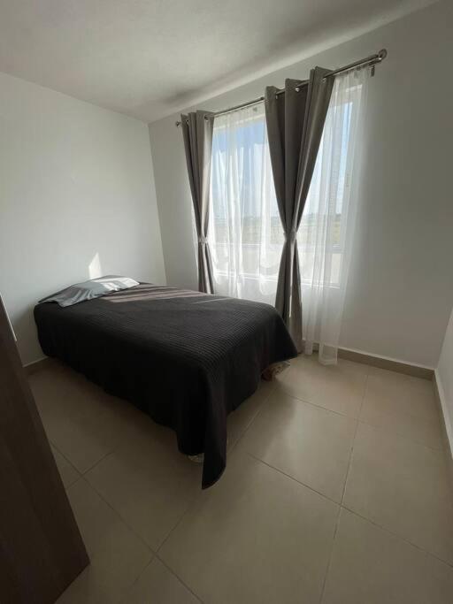 Three-Bedroom House photo 3