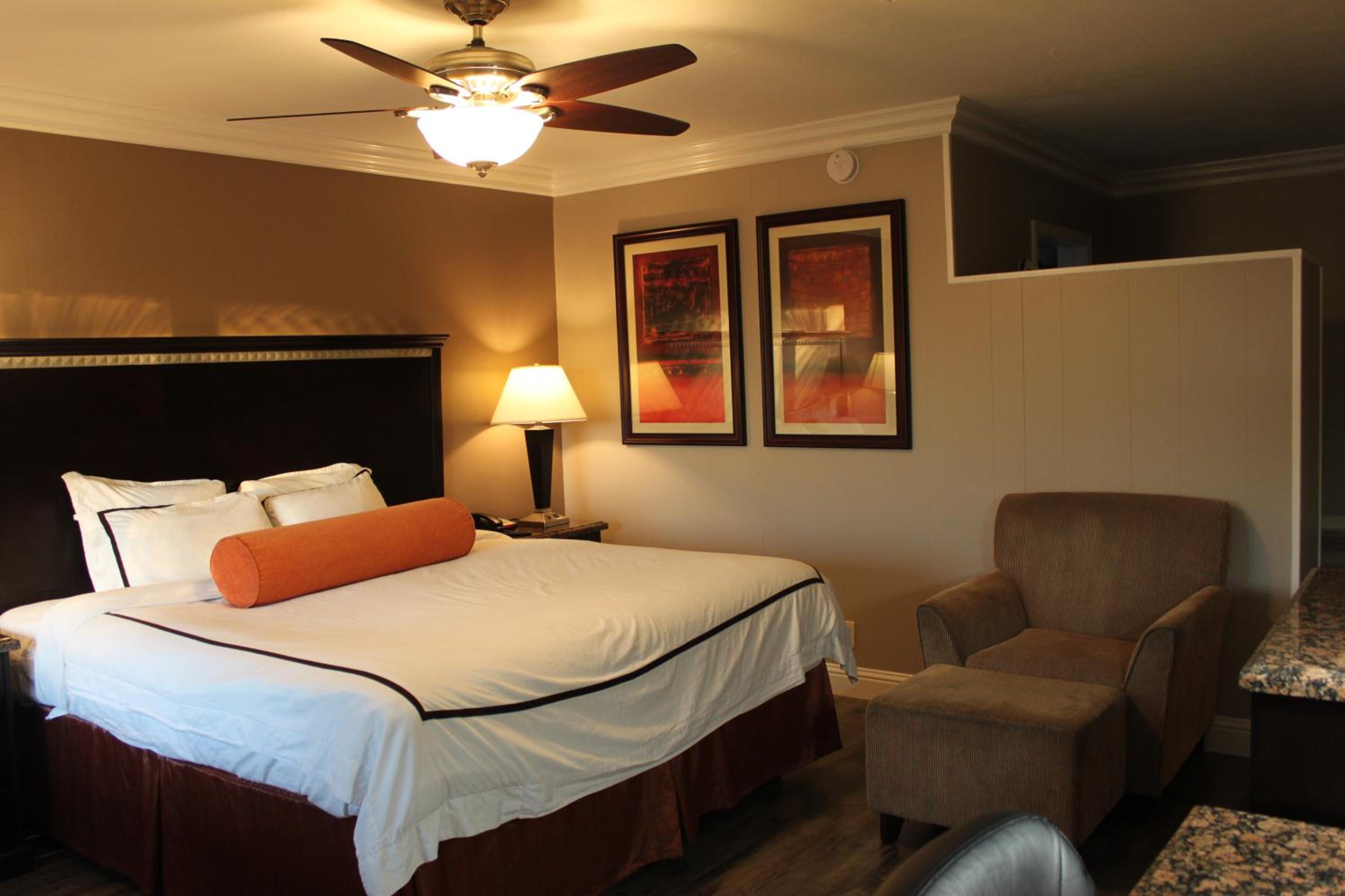 King Room- Non-Smoking - Photo 4